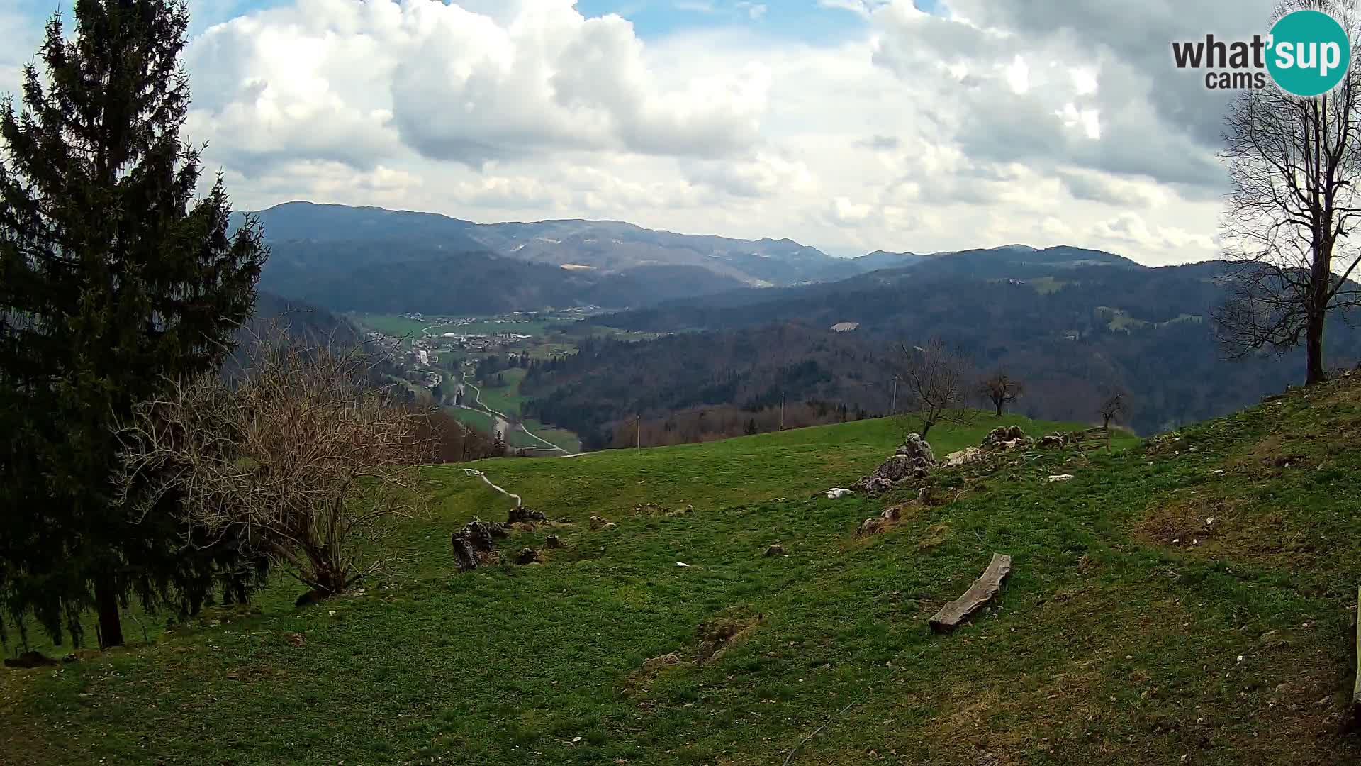 Slajka livecam | Gorenja Vas | Slovénie