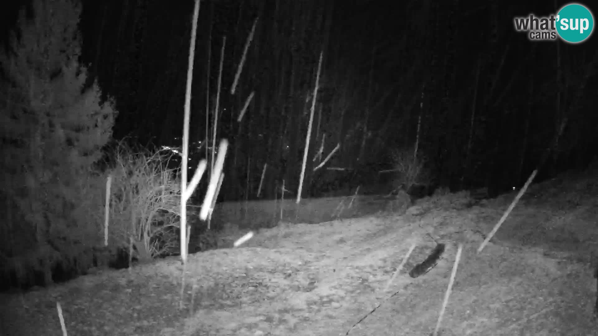 Slajka livecam | Gorenja Vas | Slovénie