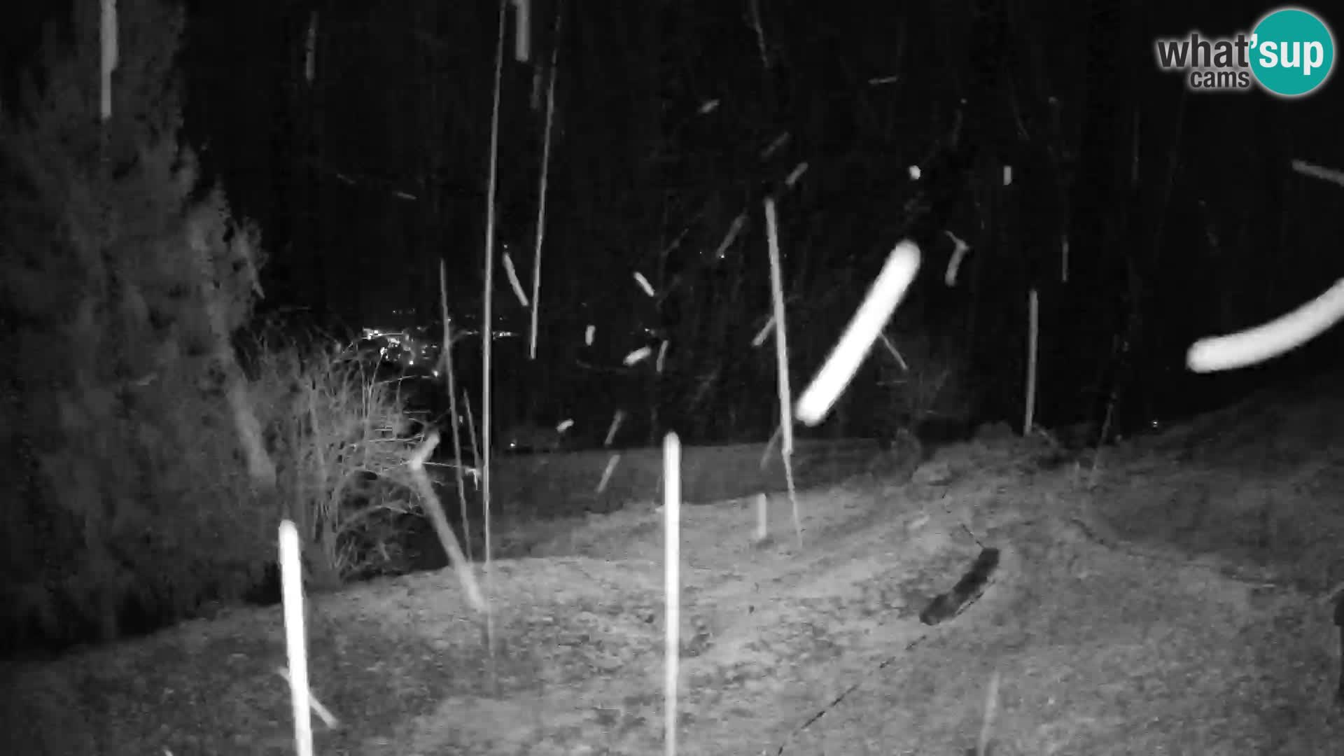 Slajka webcam | Gorenja Vas | Slowenien