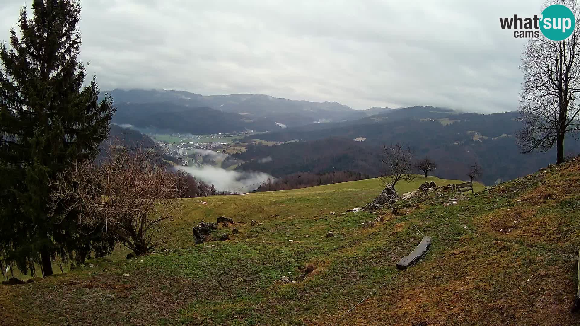 Slajka webam | Gorenja vas | Slovenia