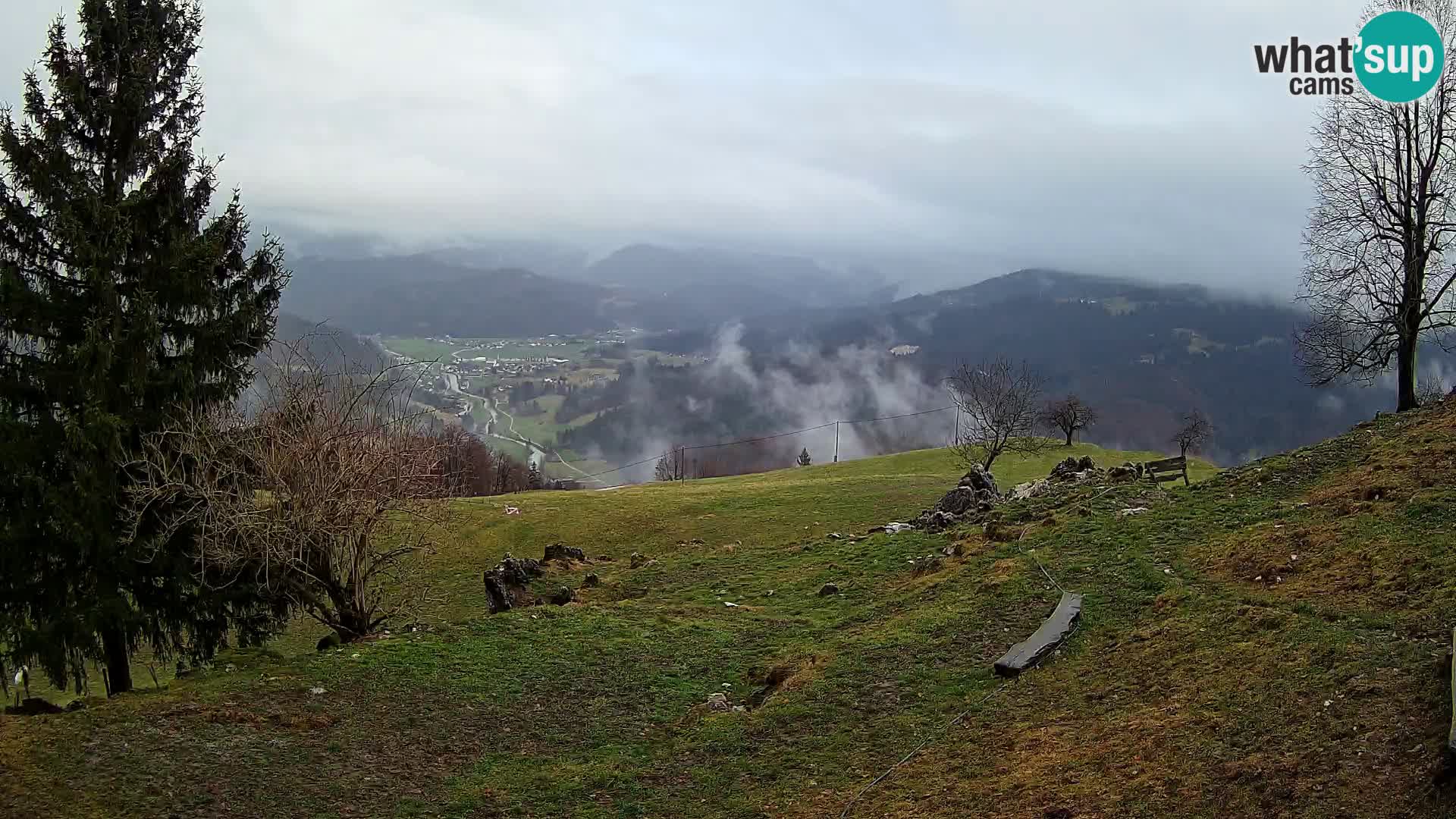 Slajka livecam | Gorenja Vas | Slovénie