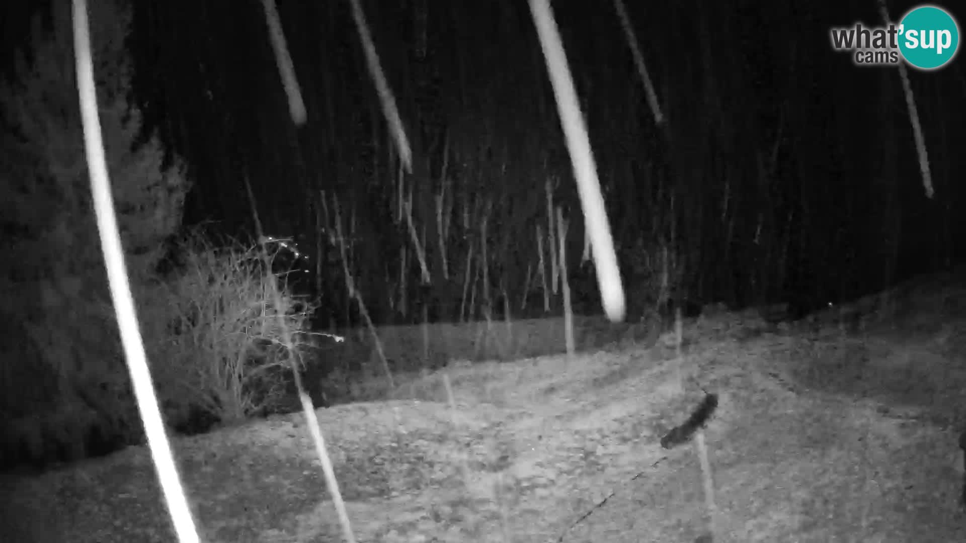 Slajka webam | Gorenja vas | Slovenia