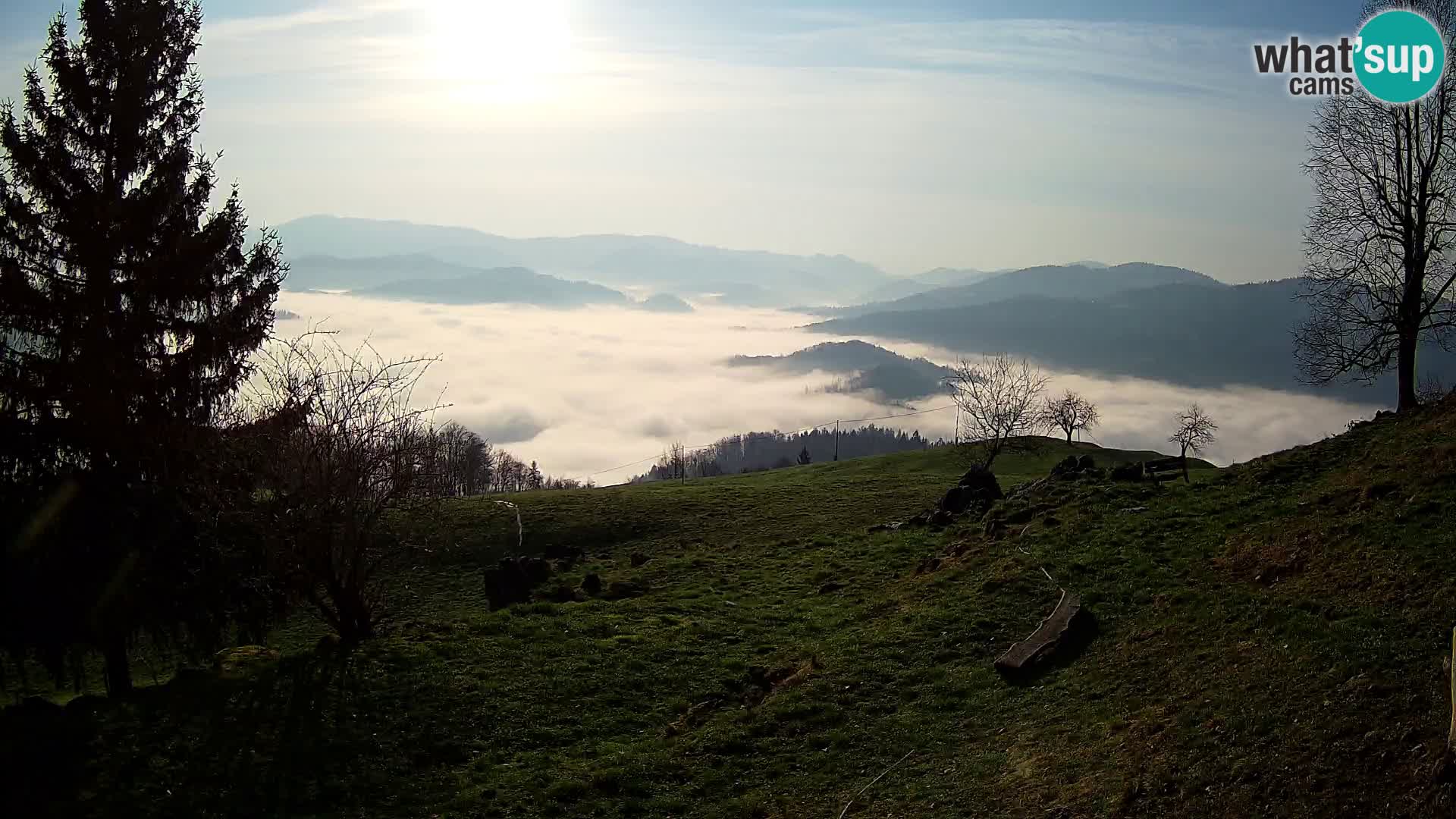 Slajka webcam | Gorenja Vas | Slowenien