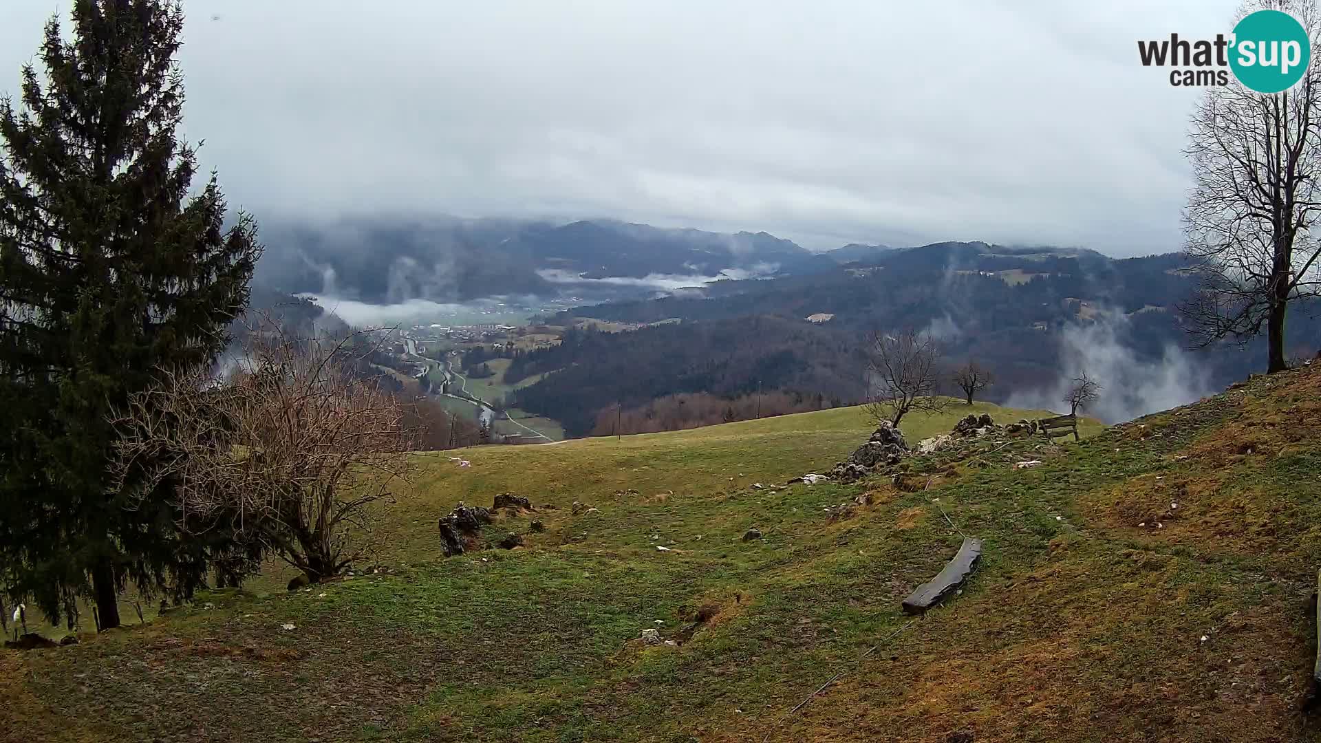 Slajka livecam | Gorenja Vas | Slovénie