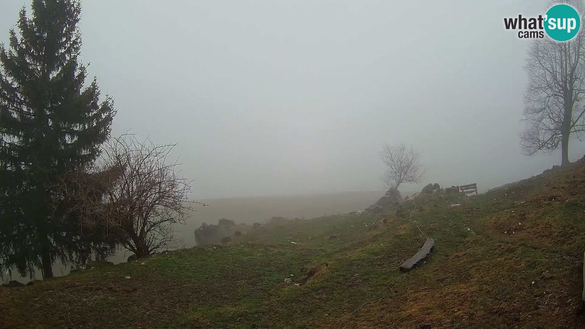 Slajka livecam | Gorenja Vas | Slovénie