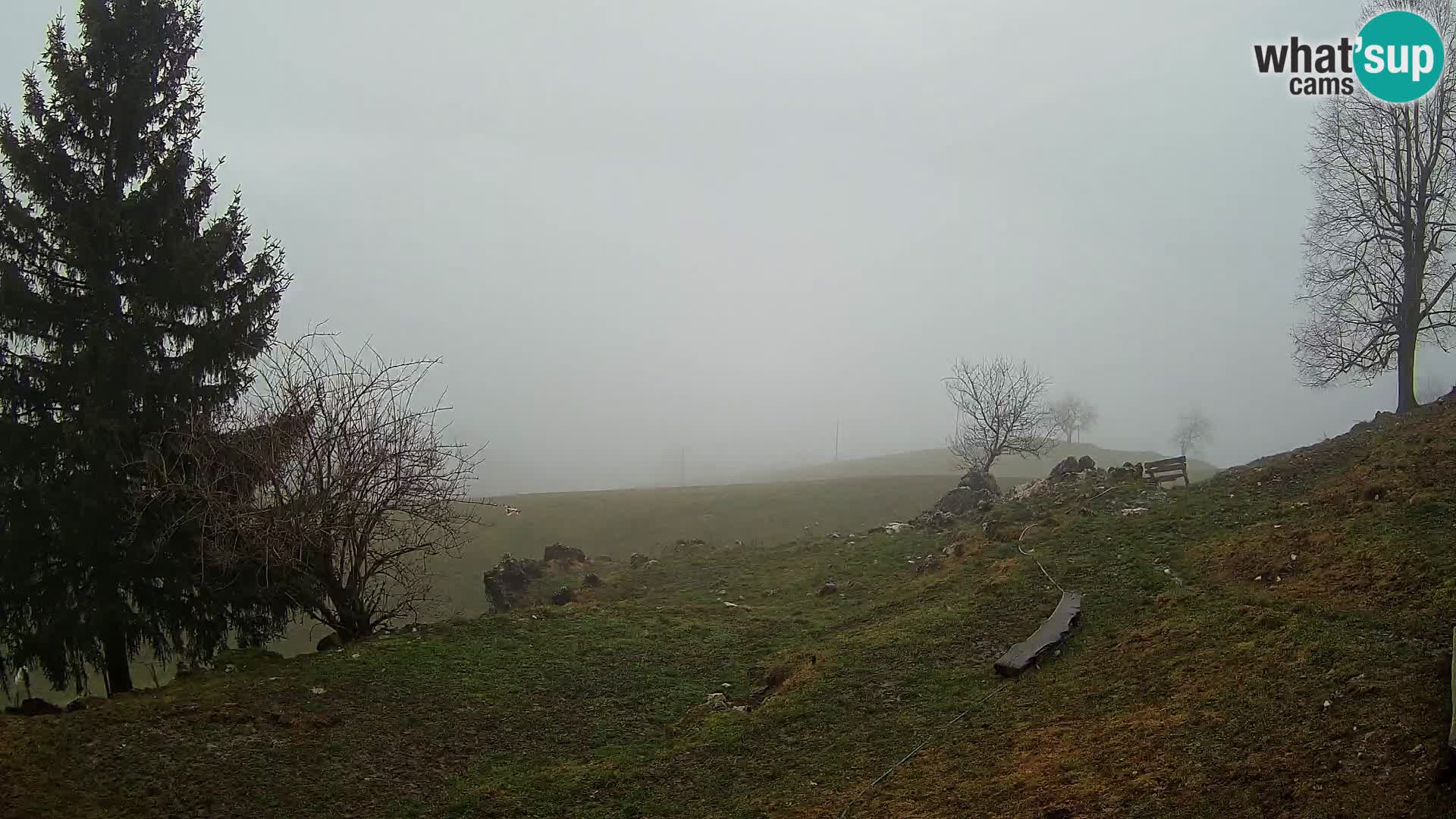 Slajka web kamera | Gorenja Vas | Slovenija