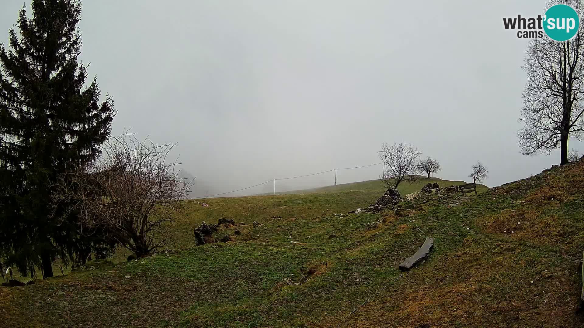 Slajka webcam | Gorenja Vas | Slowenien