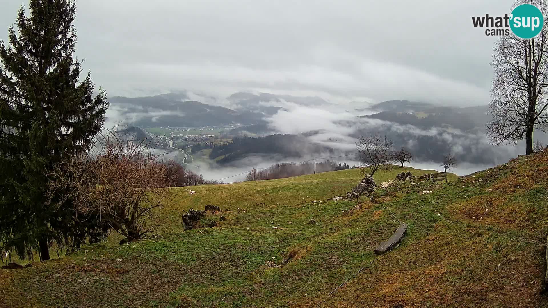 Slajka webcam | Gorenja Vas | Slowenien