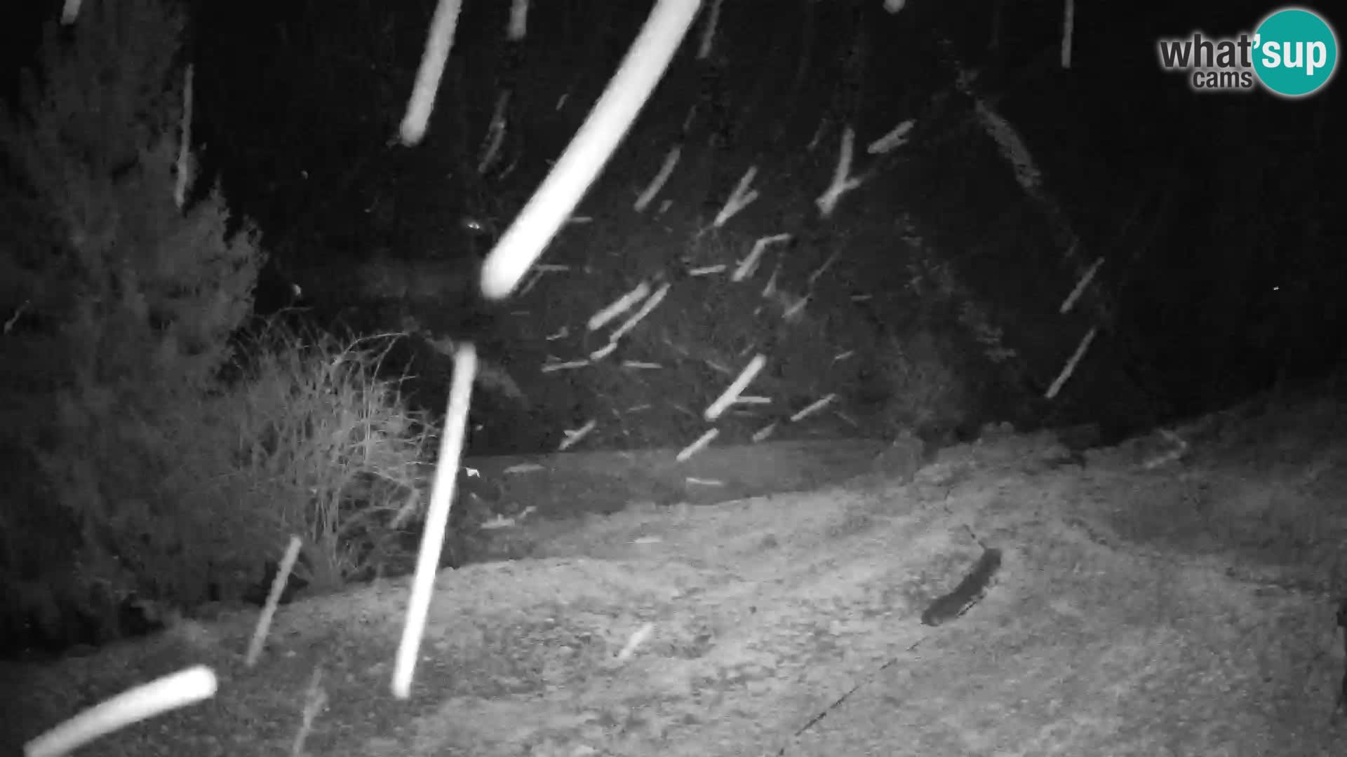 Slajka webcam | Gorenja Vas | Slowenien