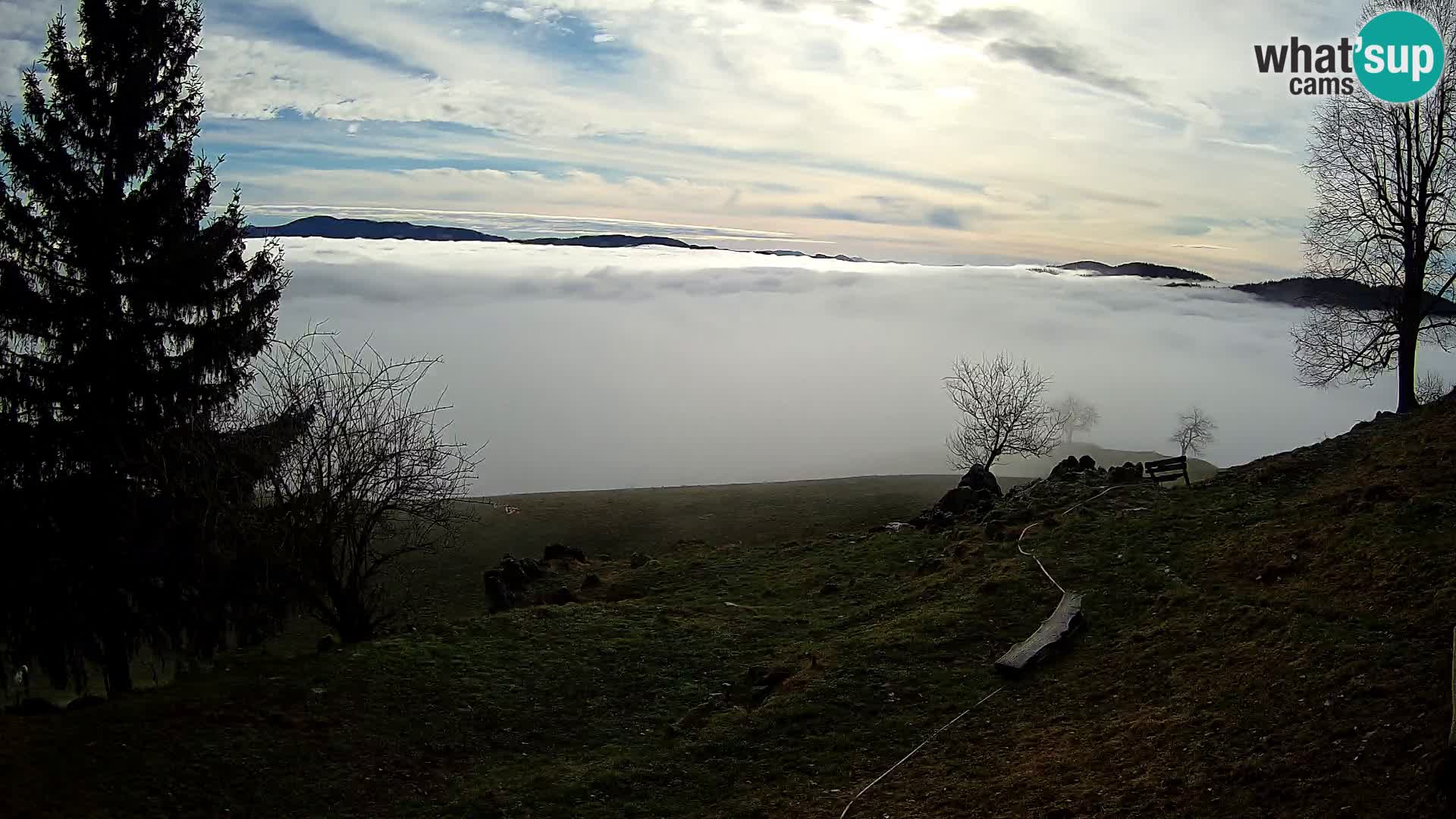 Slajka webam | Gorenja vas | Slovenia