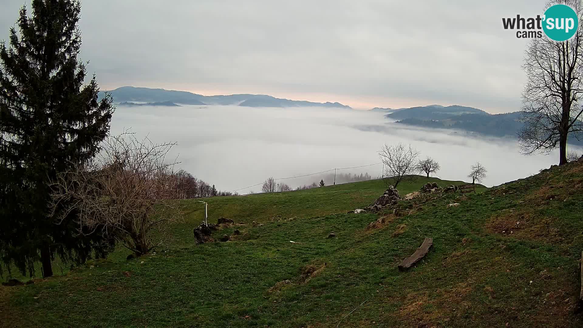 Slajka livecam | Gorenja Vas | Slovénie