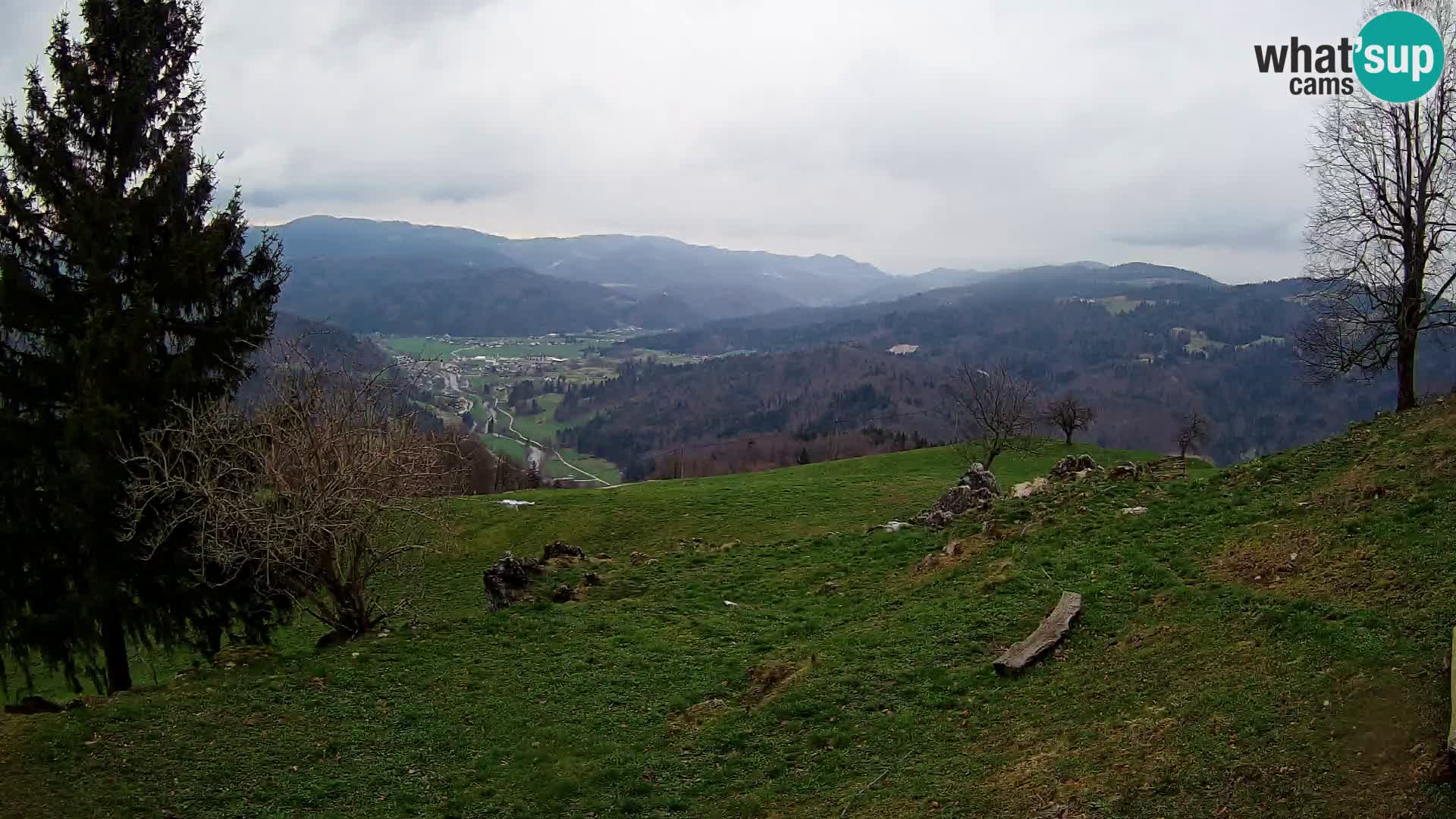 Slajka webam | Gorenja vas | Slovenia