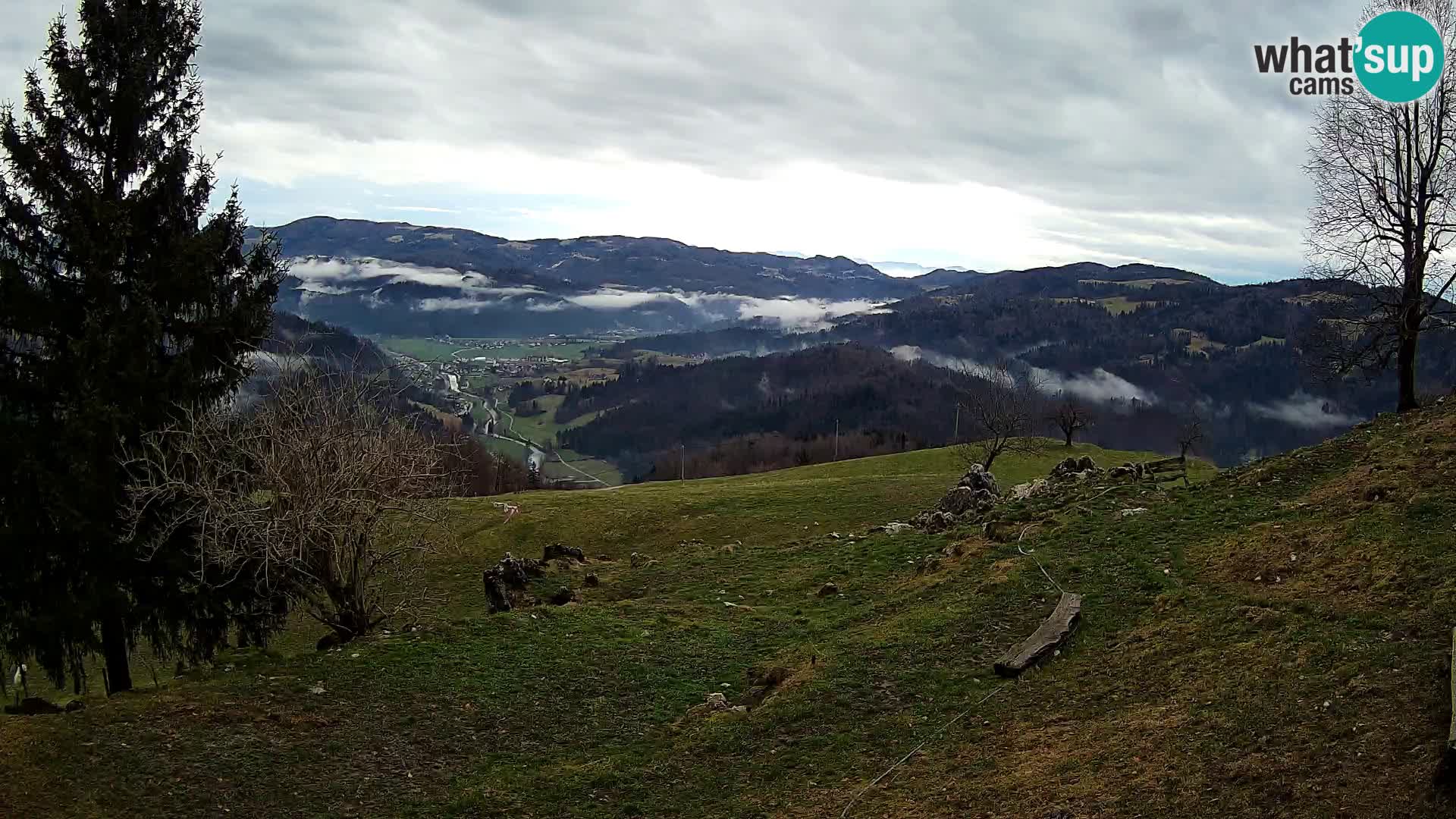 Slajka livecam | Gorenja Vas | Slovénie