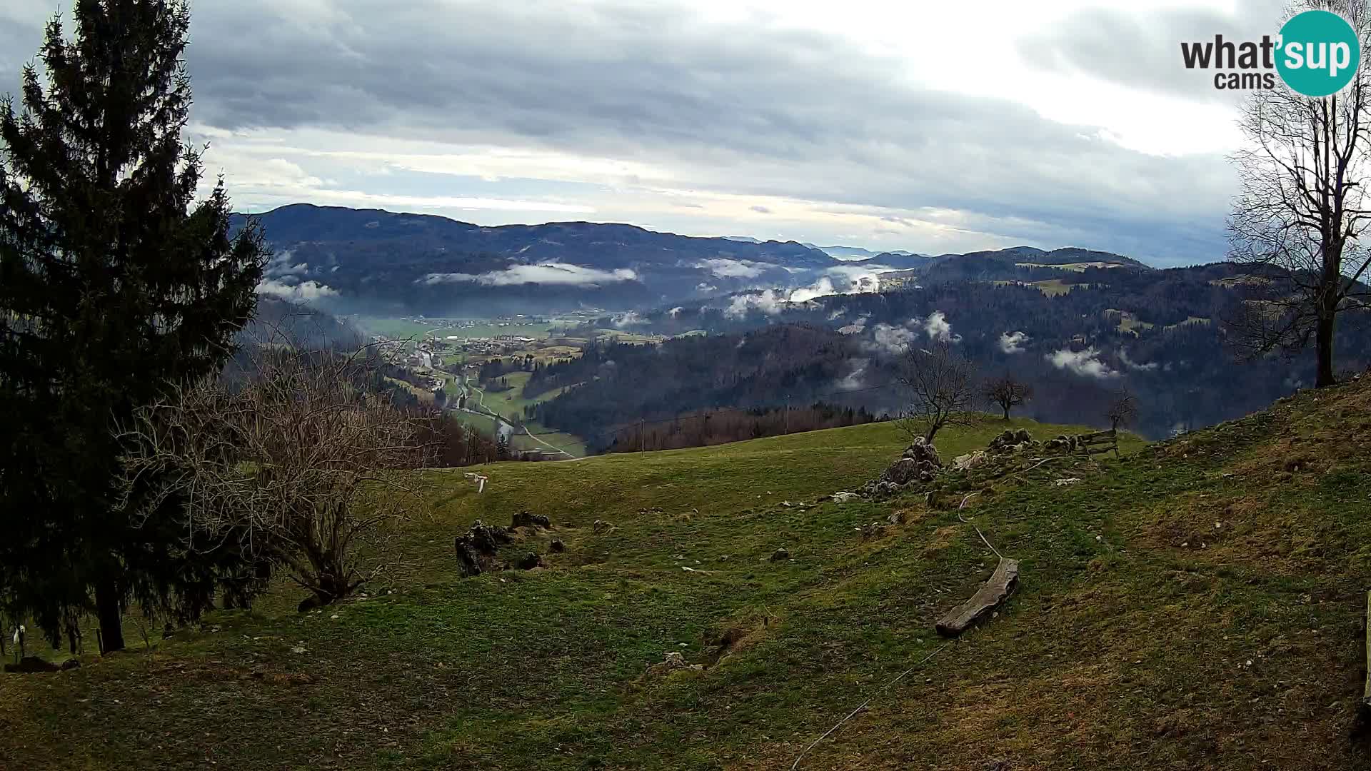 Slajka livecam | Gorenja Vas | Slovénie