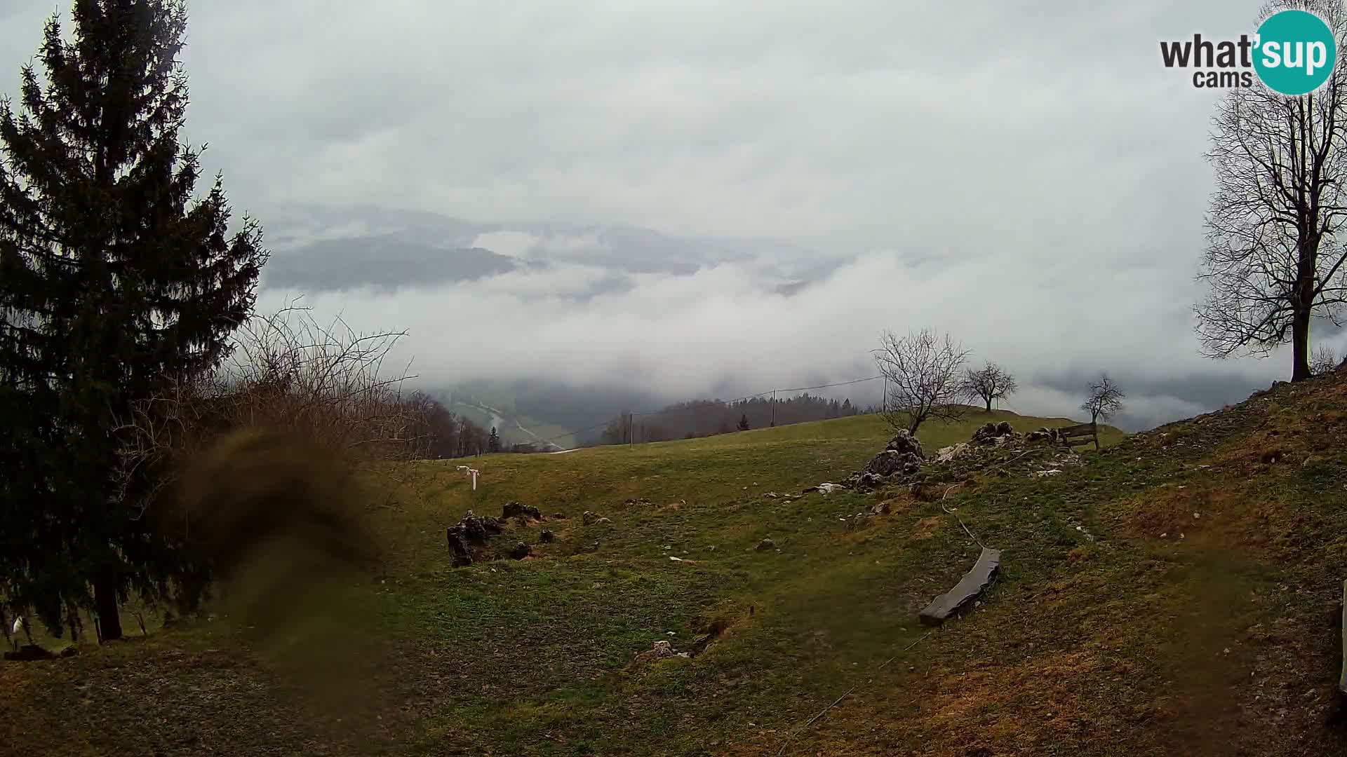 Slajka webam | Gorenja vas | Slovenia