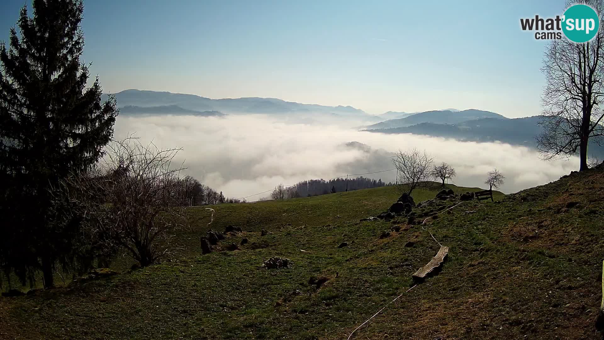Slajka webam | Gorenja vas | Slovenia