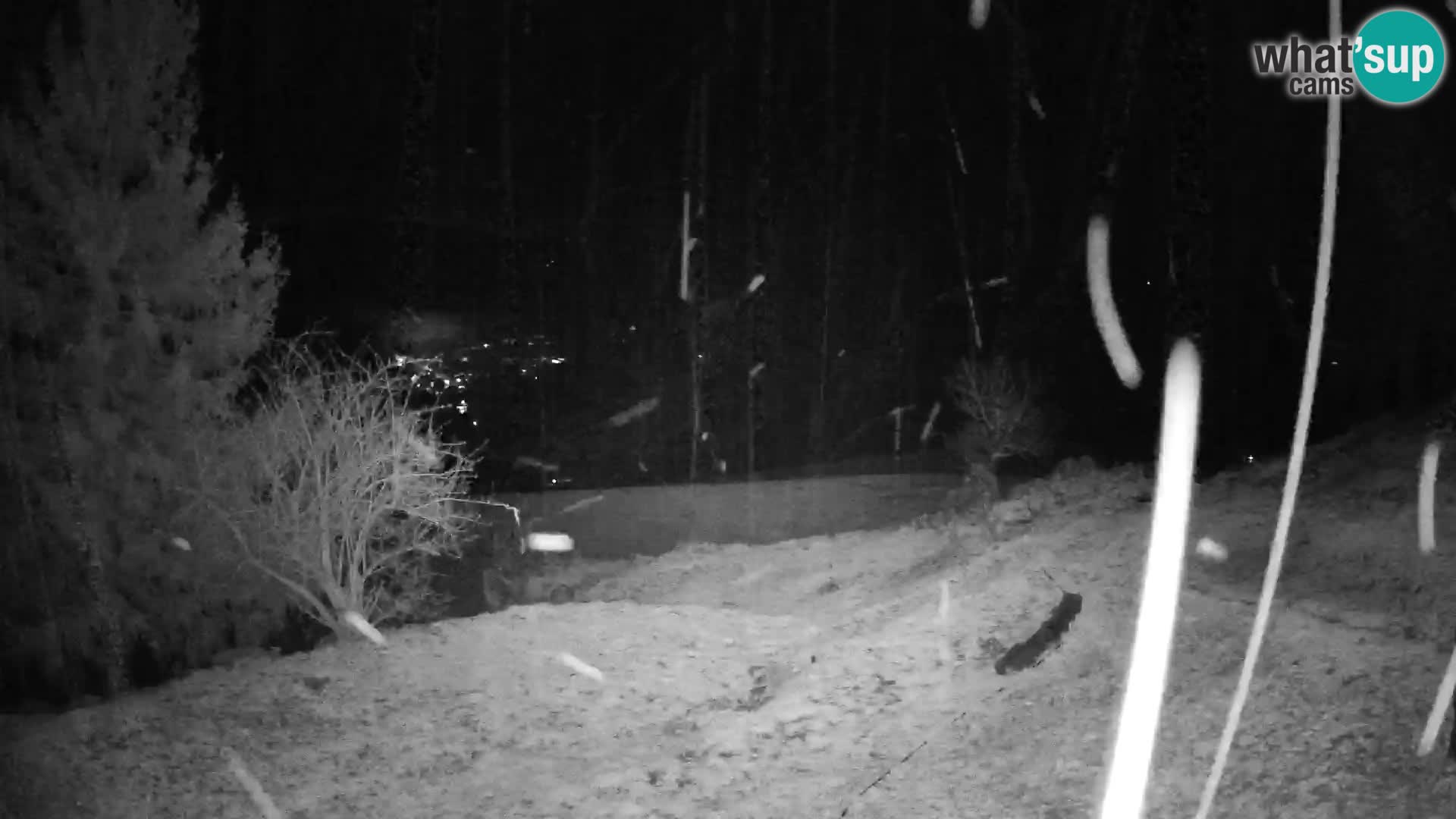 Slajka webam | Gorenja vas | Slovenia