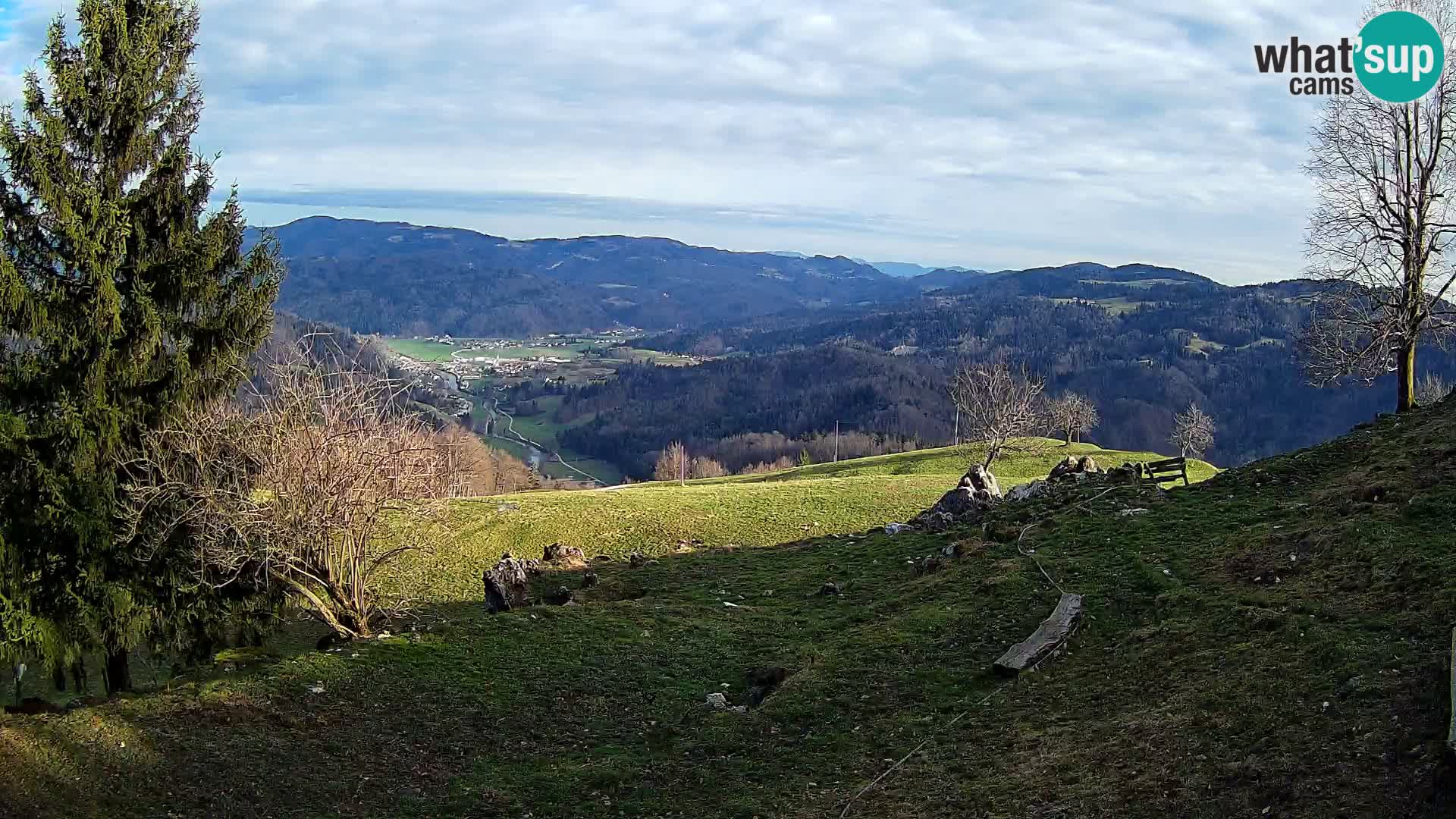 Slajka livecam | Gorenja Vas | Slovénie