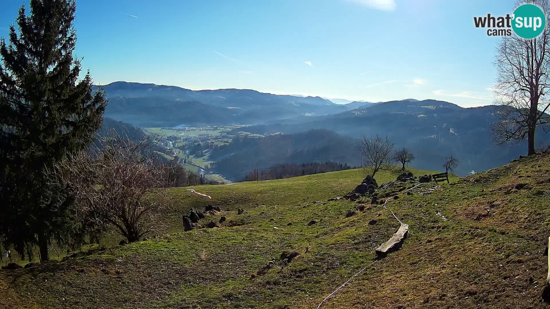 Slajka camera en vivo | Gorenja Vas | Eslovenia