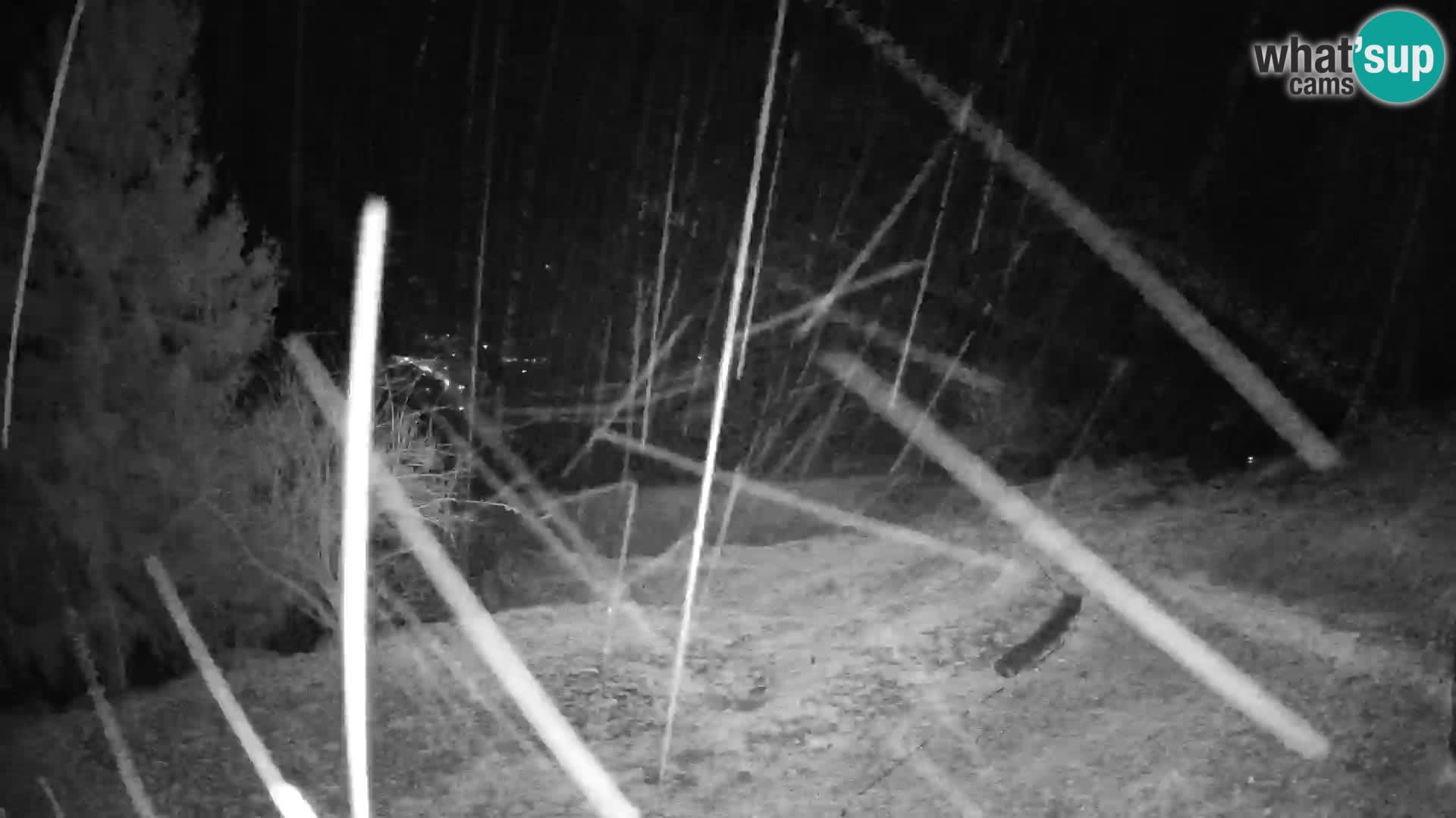 Slajka web kamera | Gorenja Vas | Slovenija