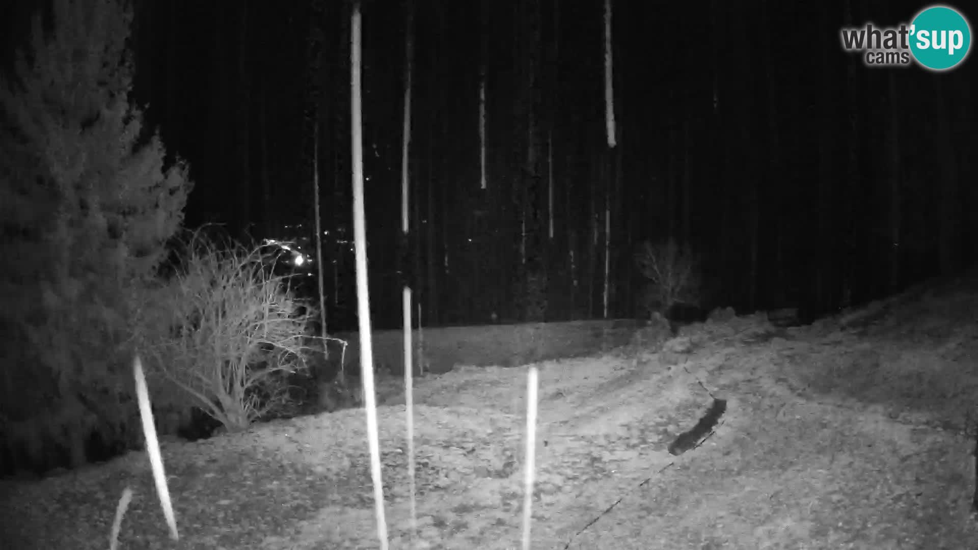 Slajka camera en vivo | Gorenja Vas | Eslovenia