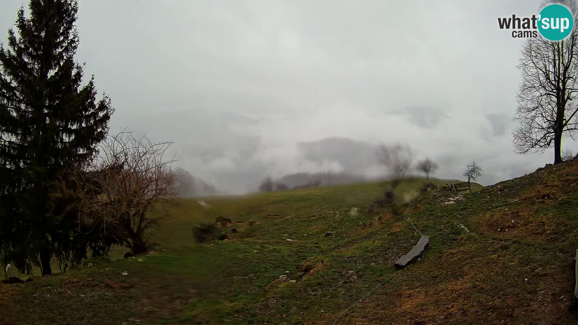 Slajka livecam | Gorenja Vas | Slovénie