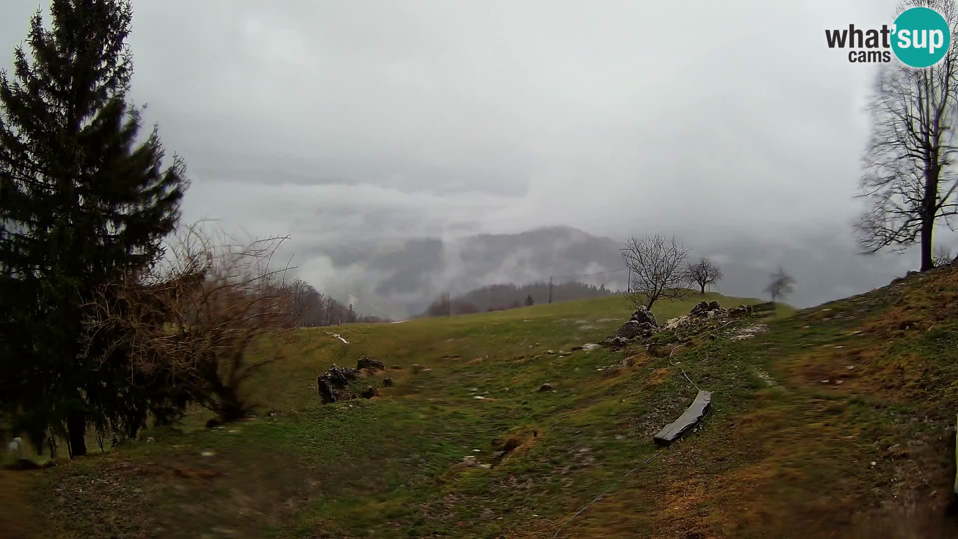 Slajka webcam | Gorenja Vas | Slowenien