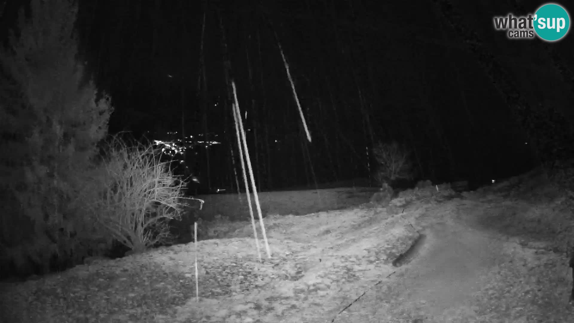 Slajka livecam | Gorenja Vas | Slovénie