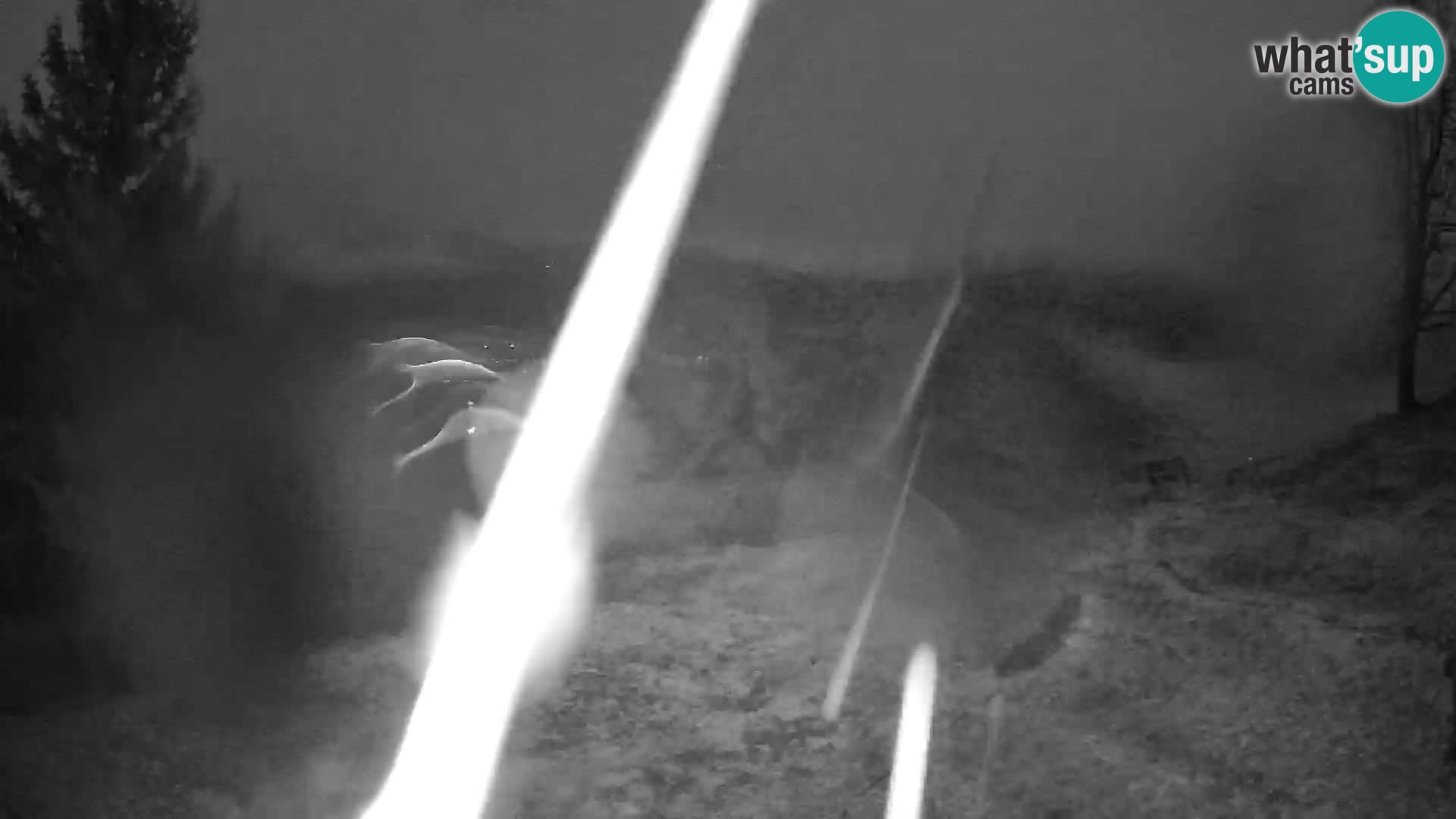 Slajka camera en vivo | Gorenja Vas | Eslovenia