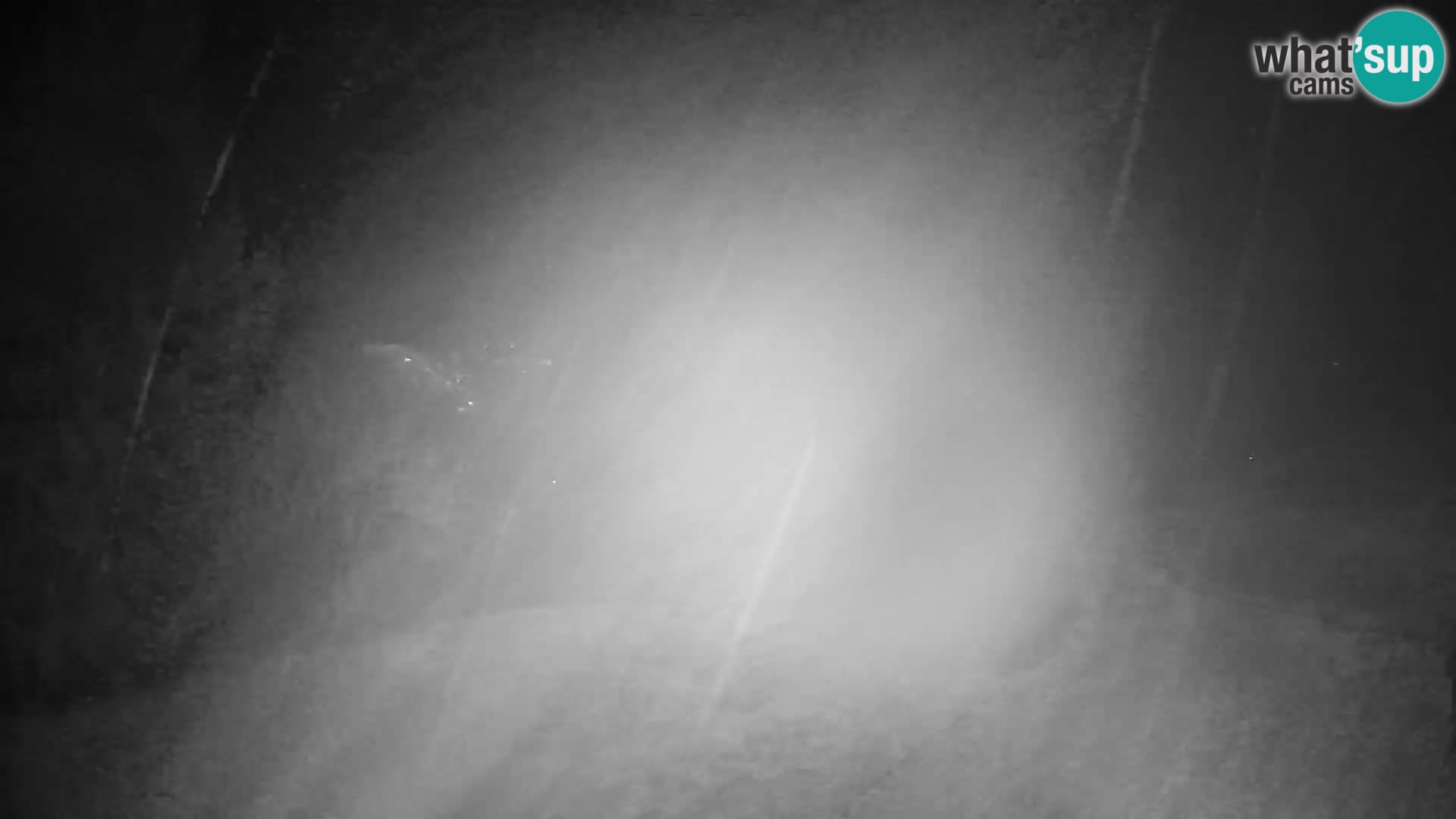 Slajka camera en vivo | Gorenja Vas | Eslovenia