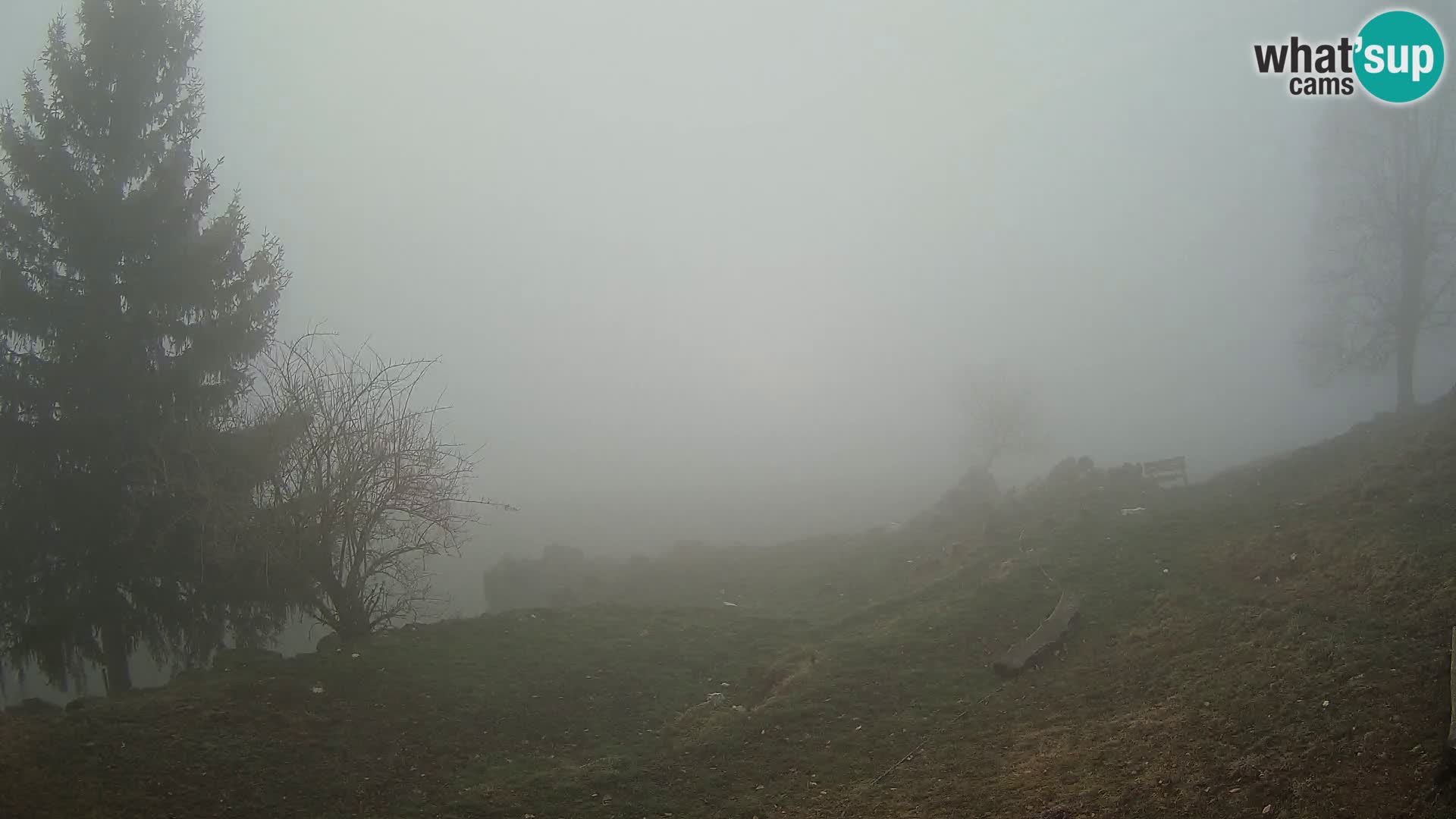 Slajka web kamera | Gorenja Vas | Slovenija