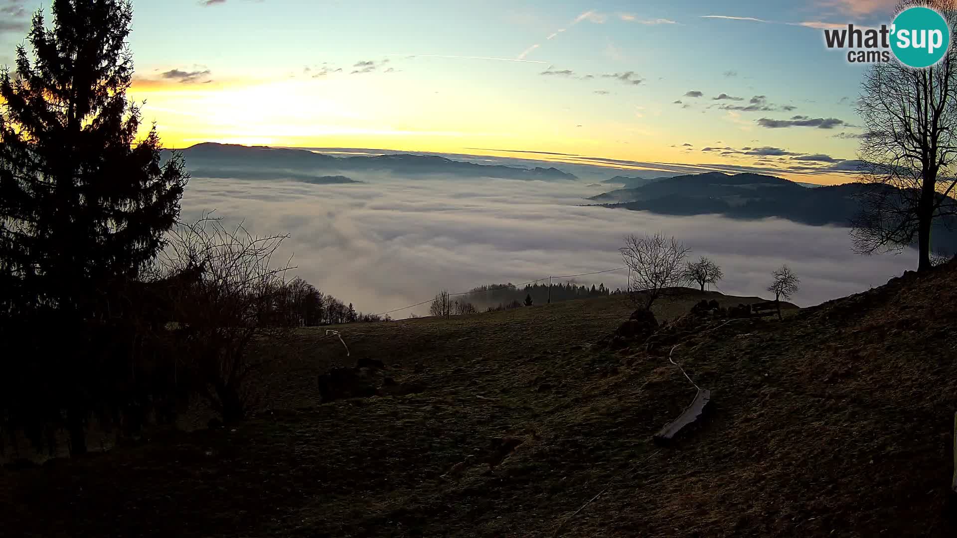 Slajka camera en vivo | Gorenja Vas | Eslovenia