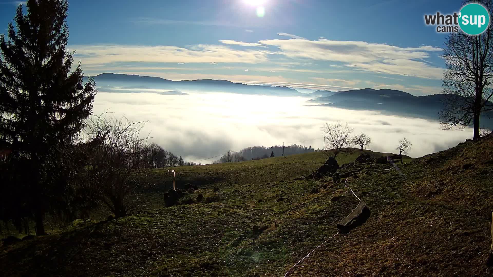 Slajka camera en vivo | Gorenja Vas | Eslovenia