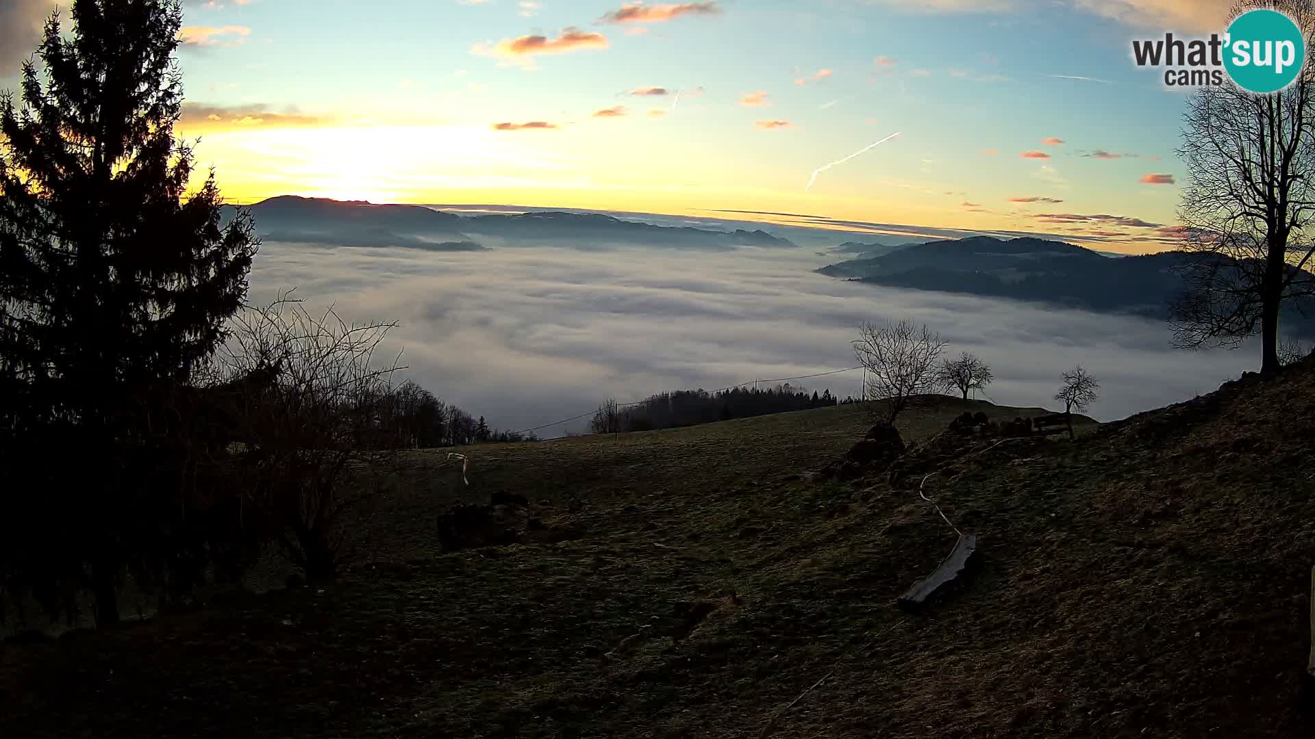 Slajka camera en vivo | Gorenja Vas | Eslovenia