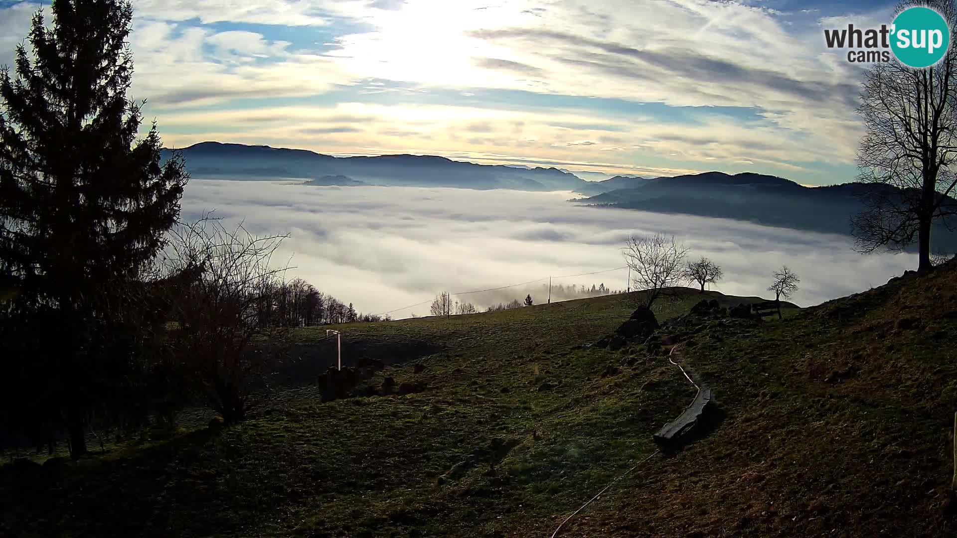 Slajka livecam | Gorenja Vas | Slovénie