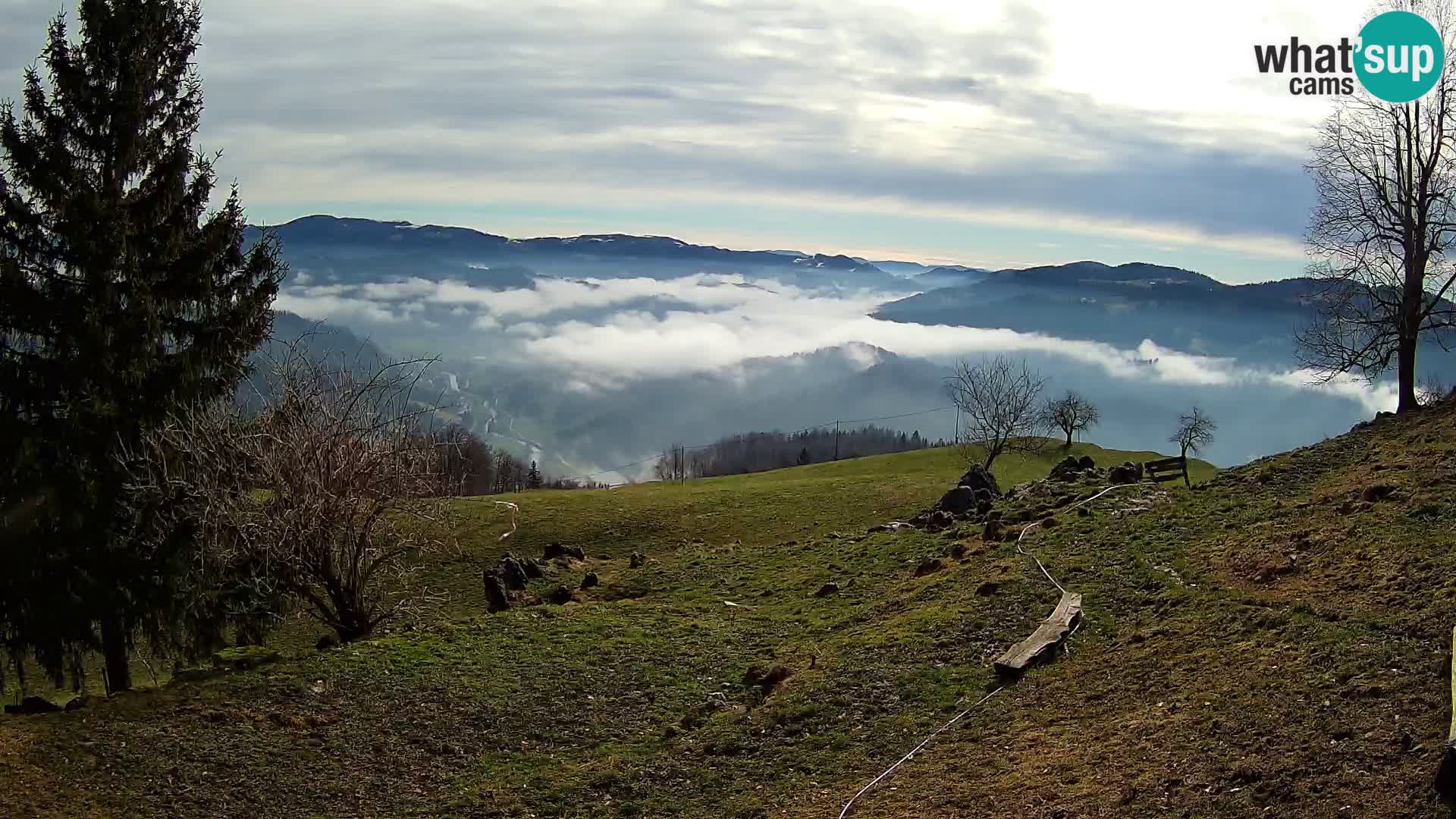 Slajka livecam | Gorenja Vas | Slovénie