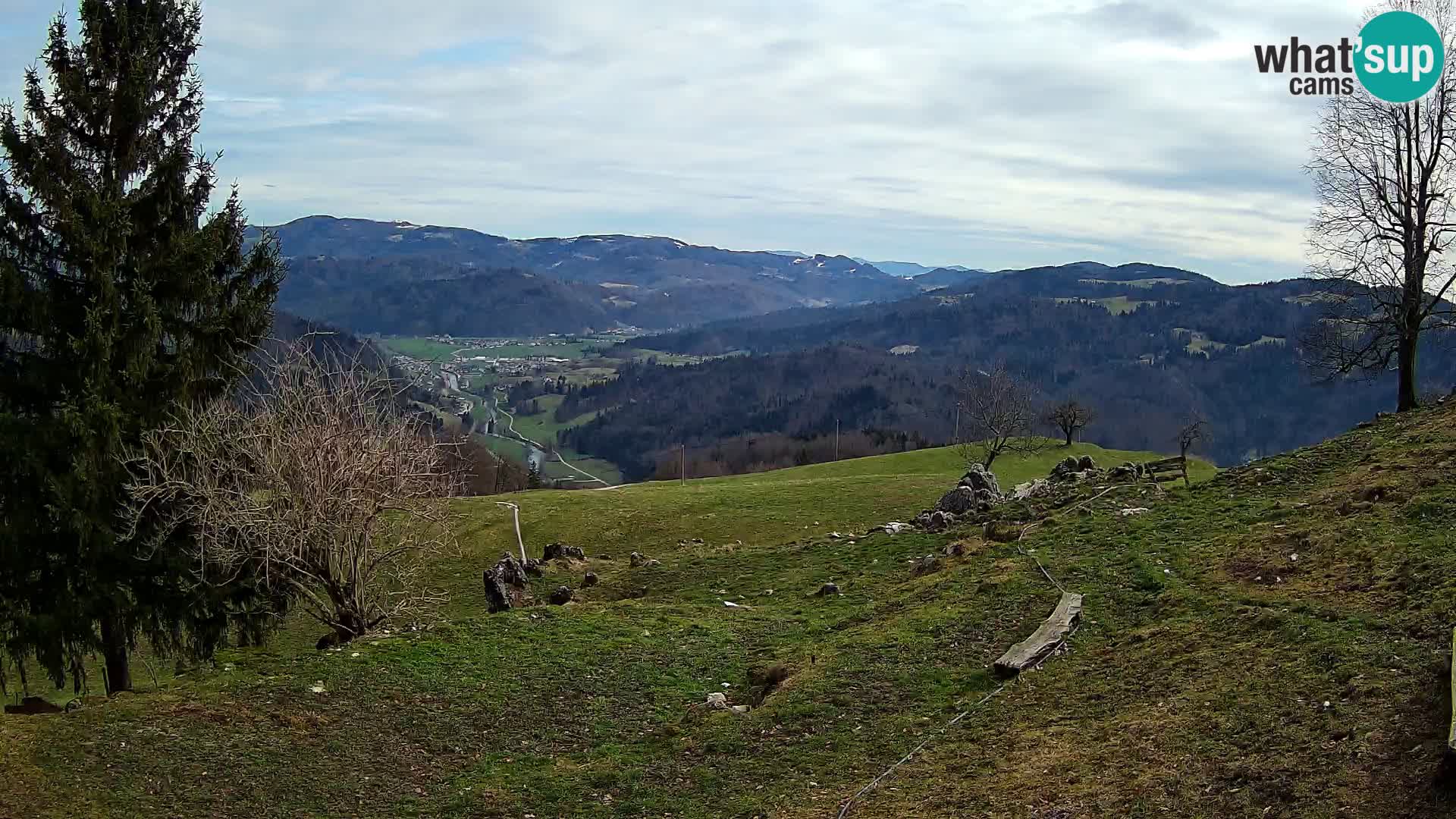 Slajka camera en vivo | Gorenja Vas | Eslovenia