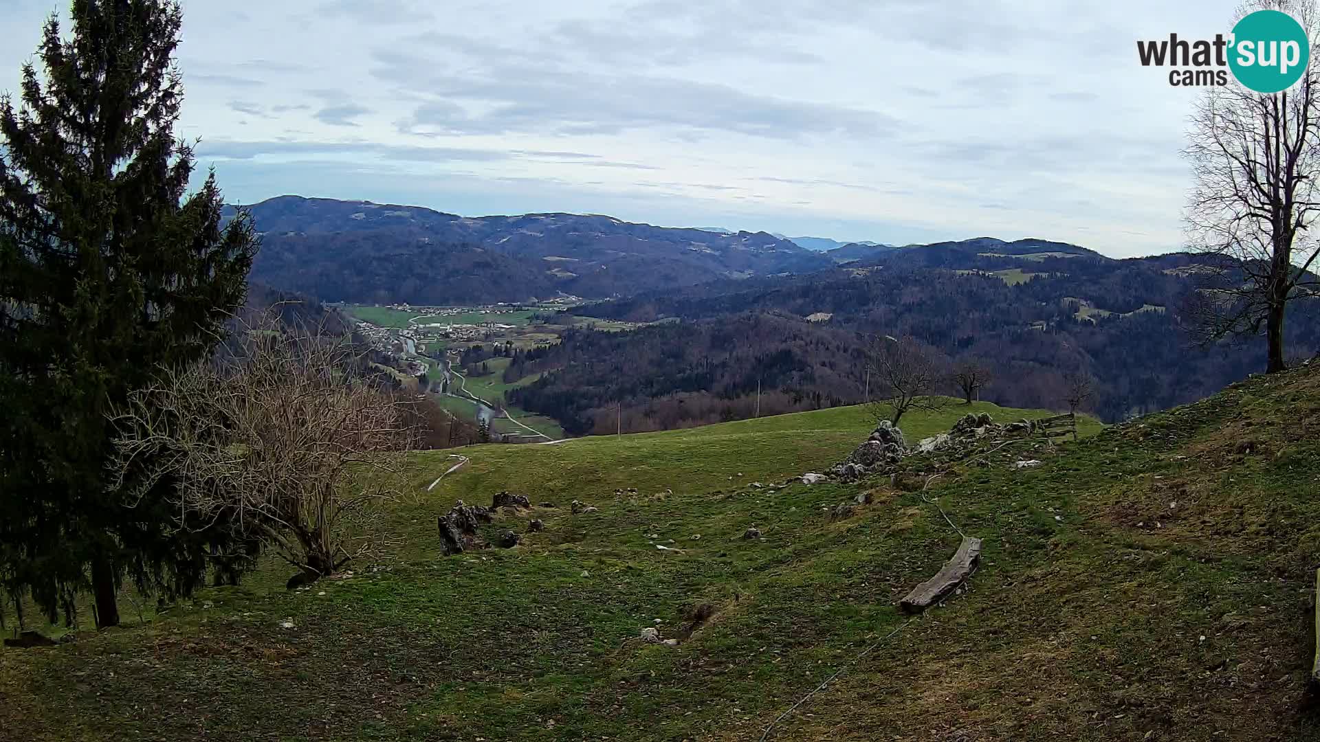 Slajka camera en vivo | Gorenja Vas | Eslovenia