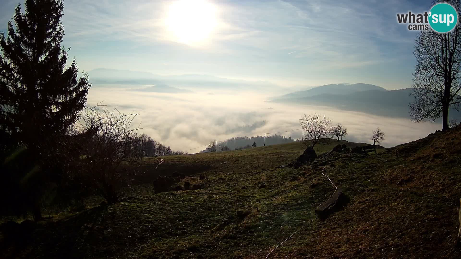 Slajka livecam | Gorenja Vas | Slovénie