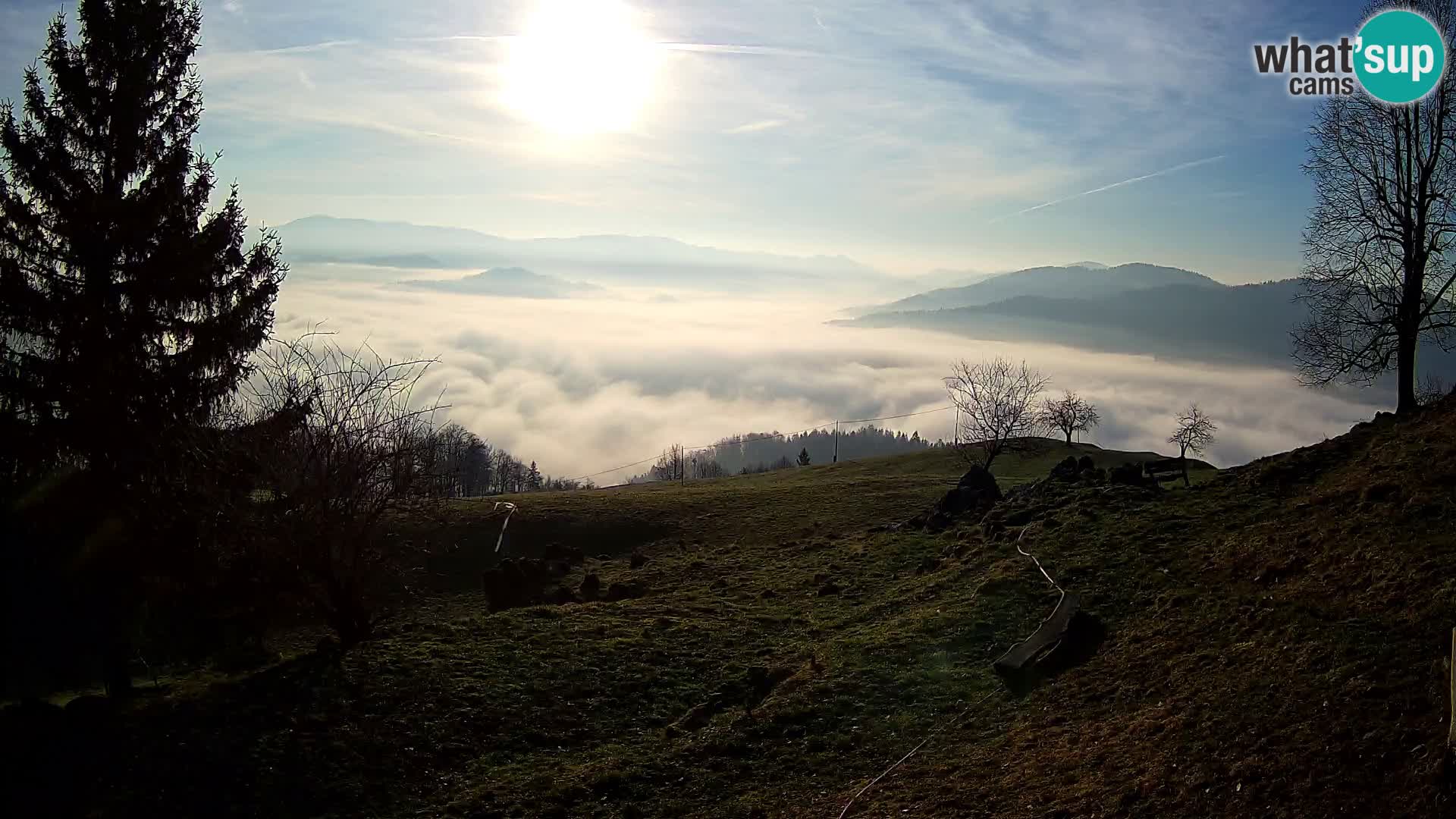 Slajka camera en vivo | Gorenja Vas | Eslovenia