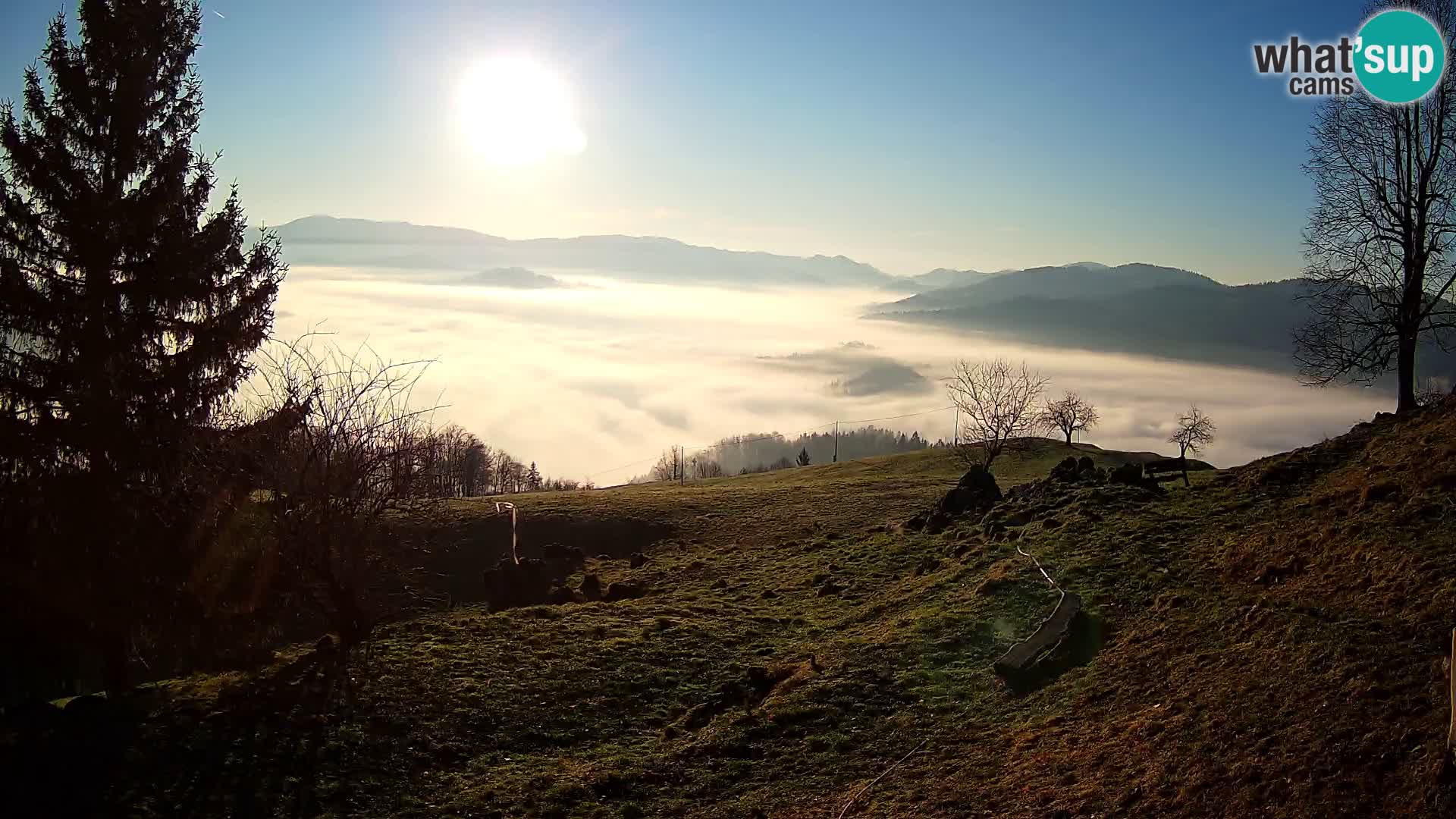 Slajka camera en vivo | Gorenja Vas | Eslovenia