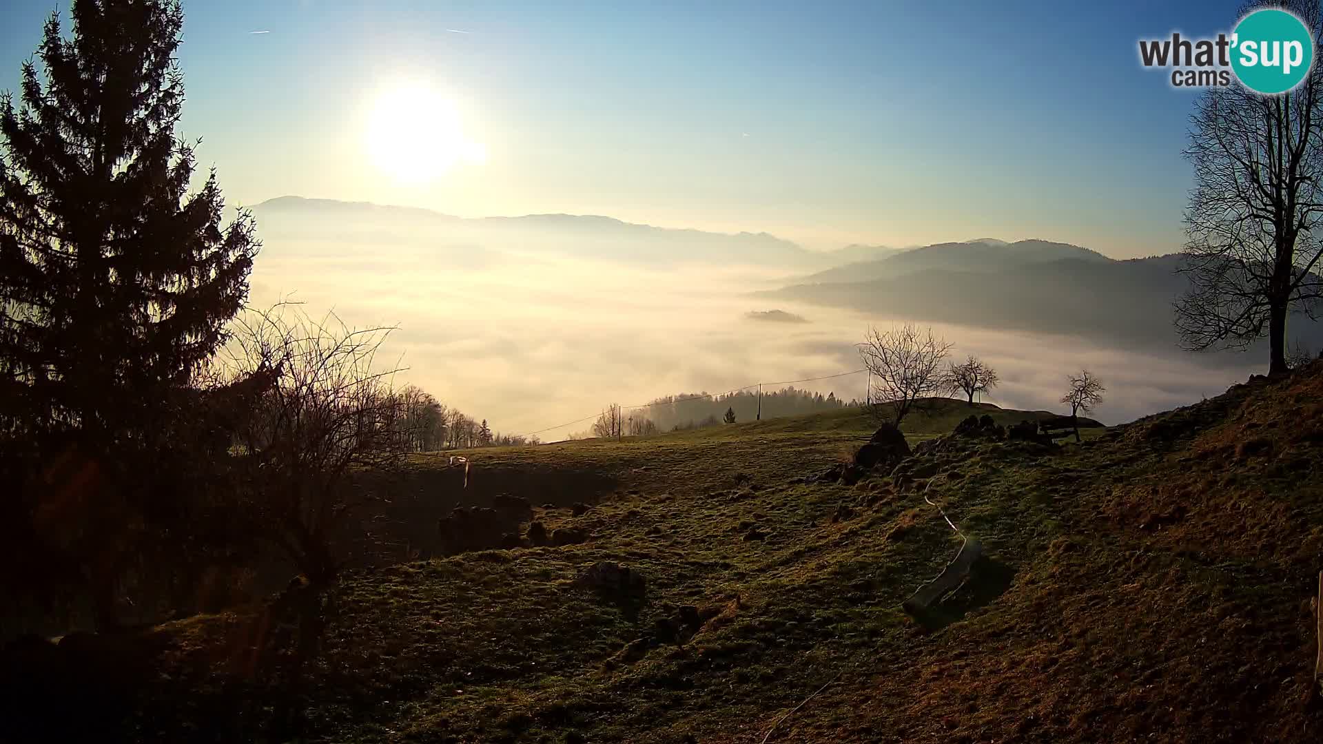 Slajka camera en vivo | Gorenja Vas | Eslovenia