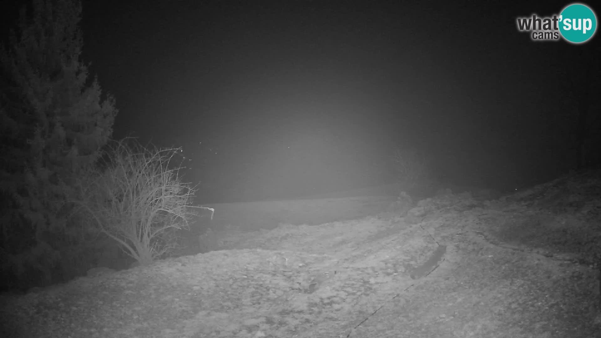 Slajka camera en vivo | Gorenja Vas | Eslovenia