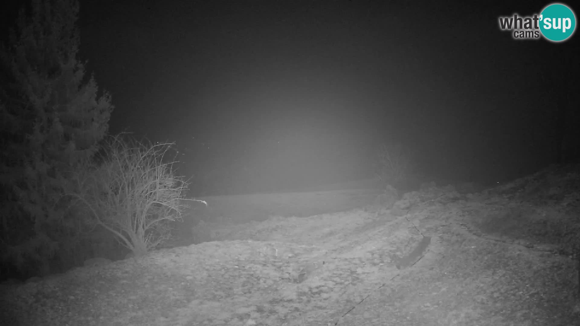 Slajka camera en vivo | Gorenja Vas | Eslovenia