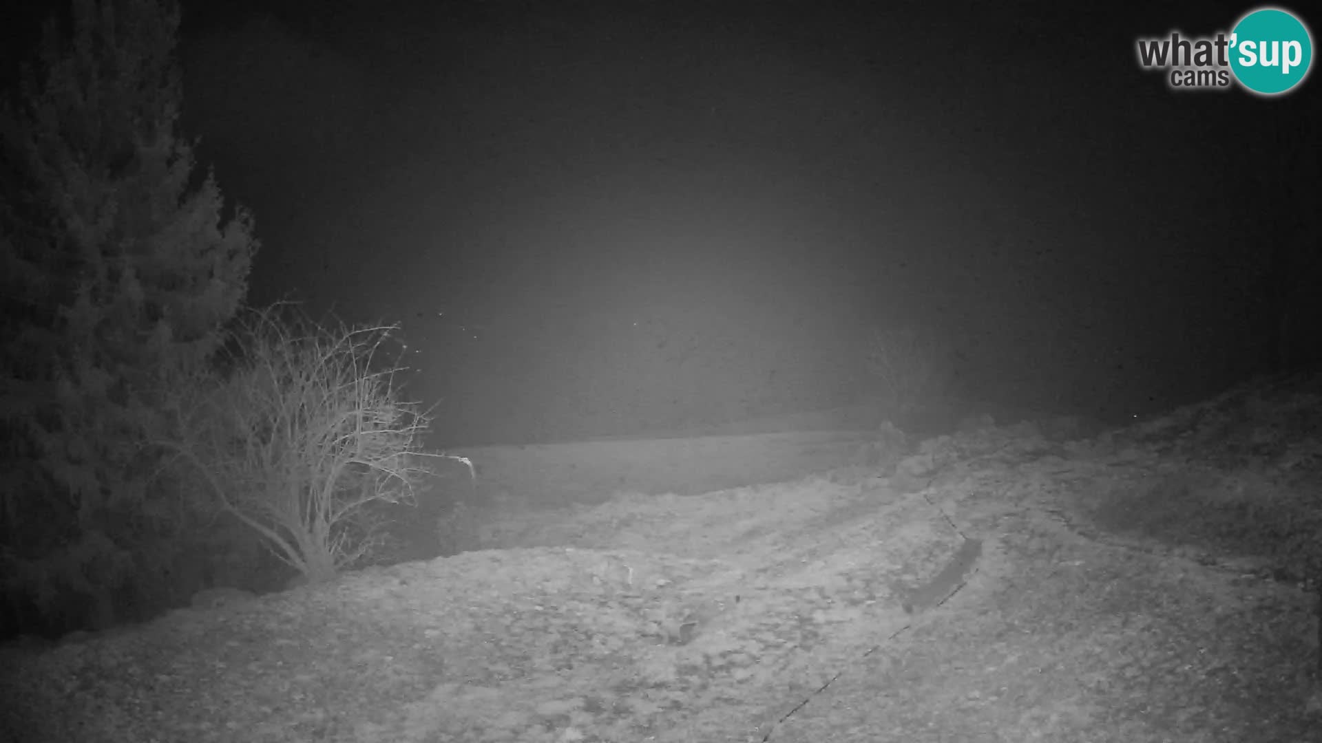 Slajka livecam | Gorenja Vas | Slovénie