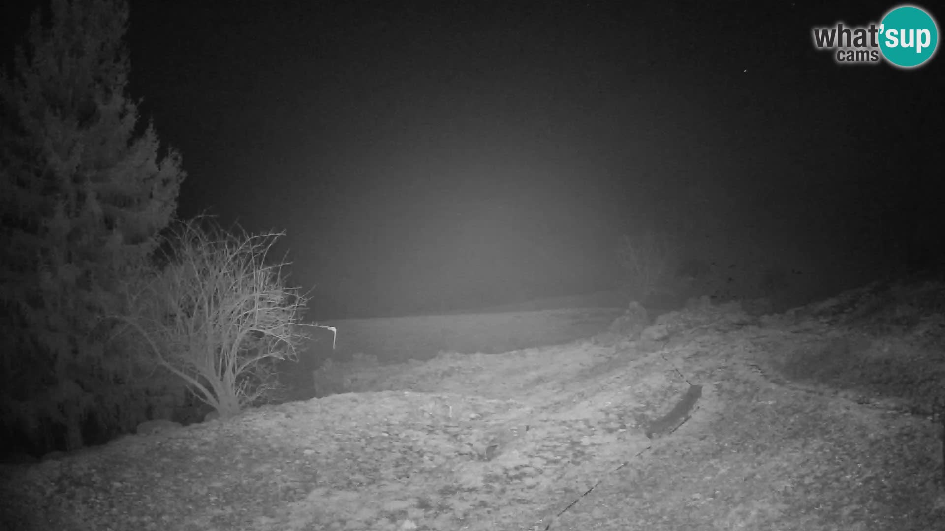 Slajka camera en vivo | Gorenja Vas | Eslovenia