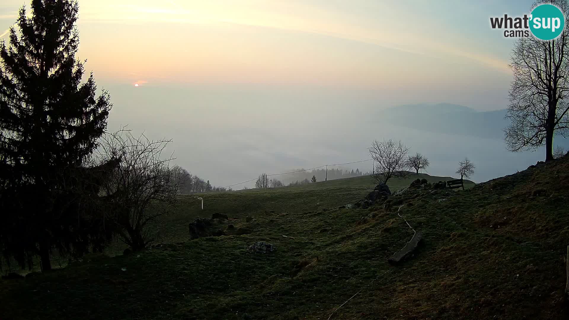 Slajka camera en vivo | Gorenja Vas | Eslovenia