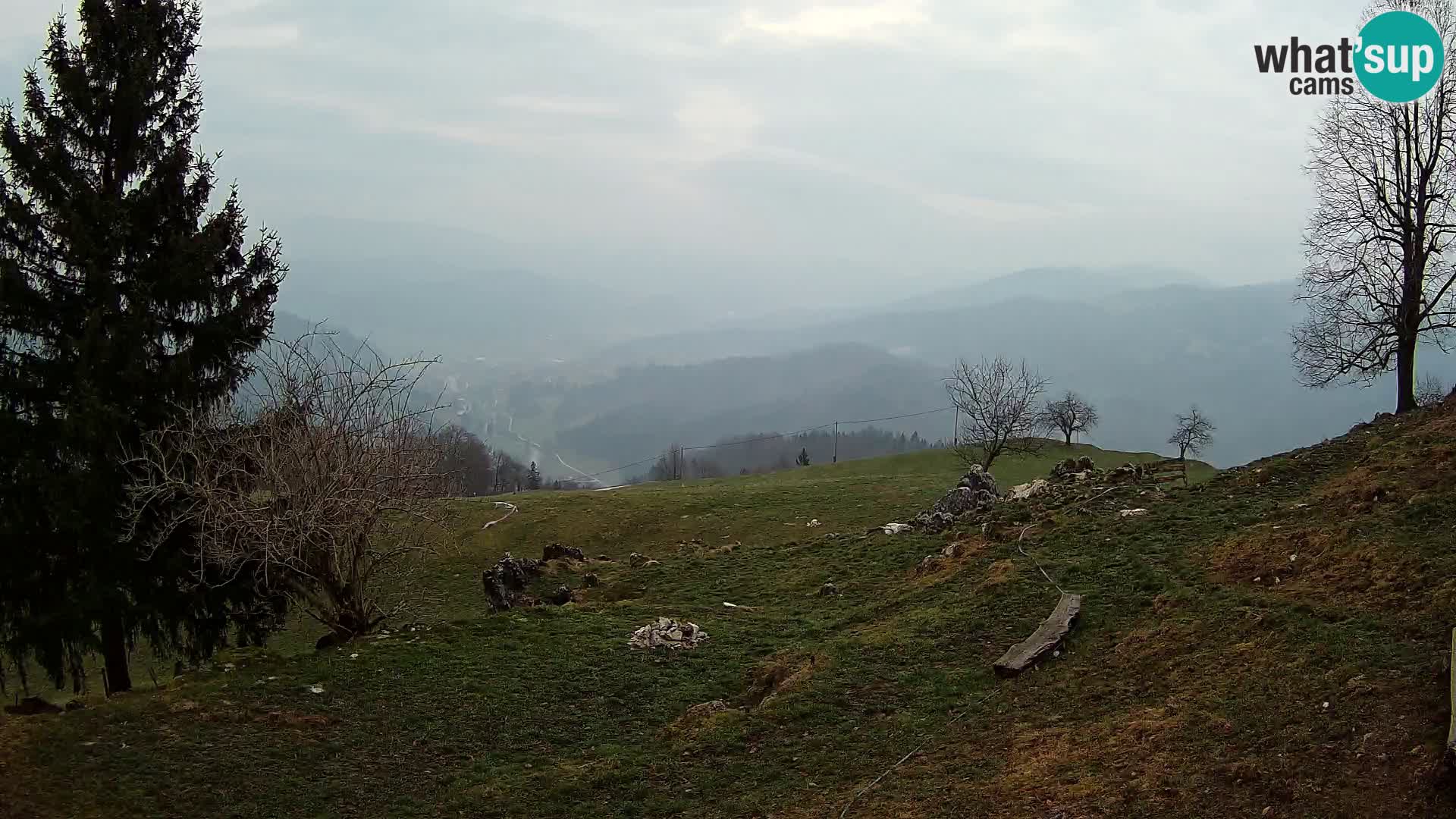 Slajka livecam | Gorenja Vas | Slovénie