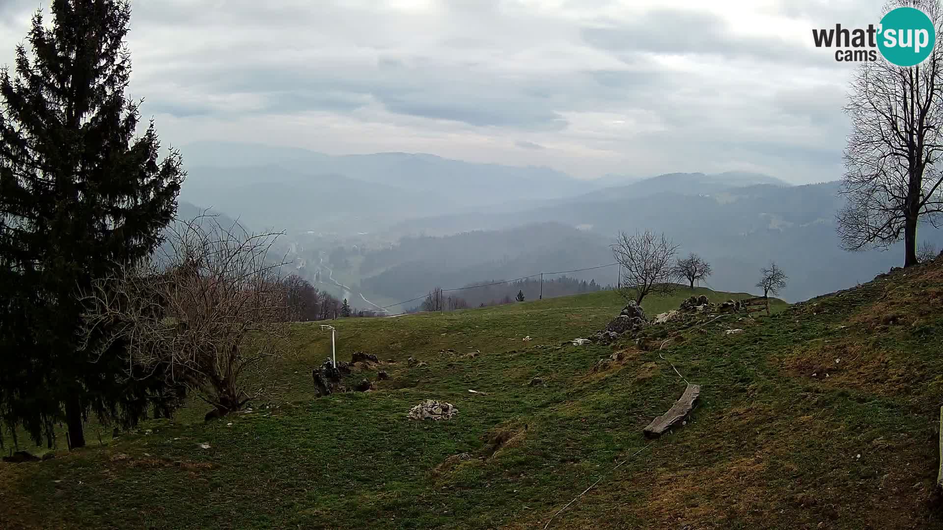 Slajka livecam | Gorenja Vas | Slovénie