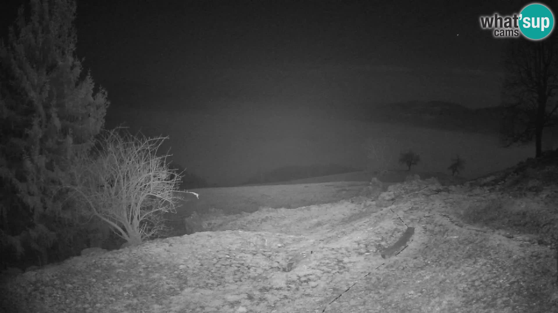 Slajka camera en vivo | Gorenja Vas | Eslovenia